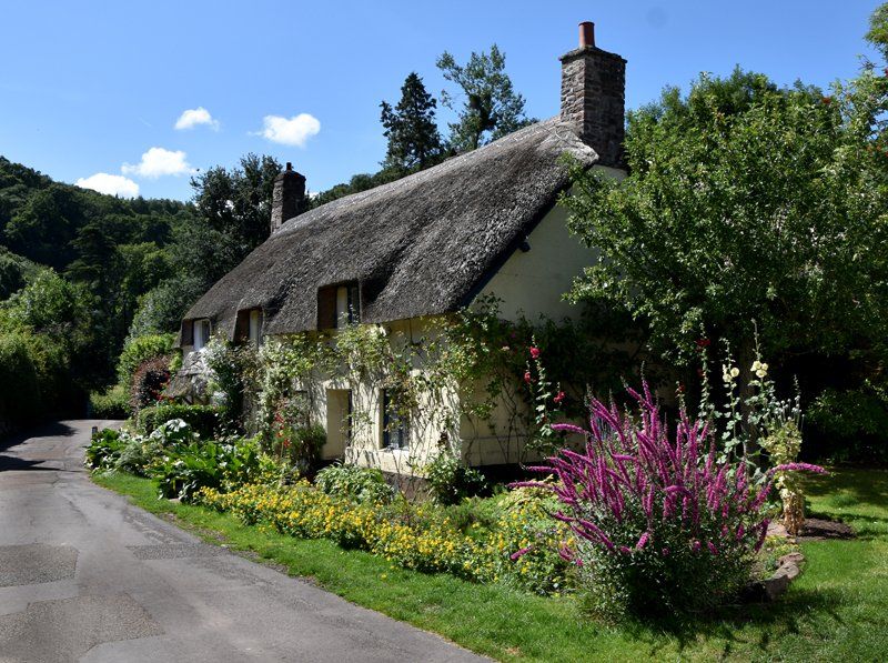 a thatched cottage ar dunster