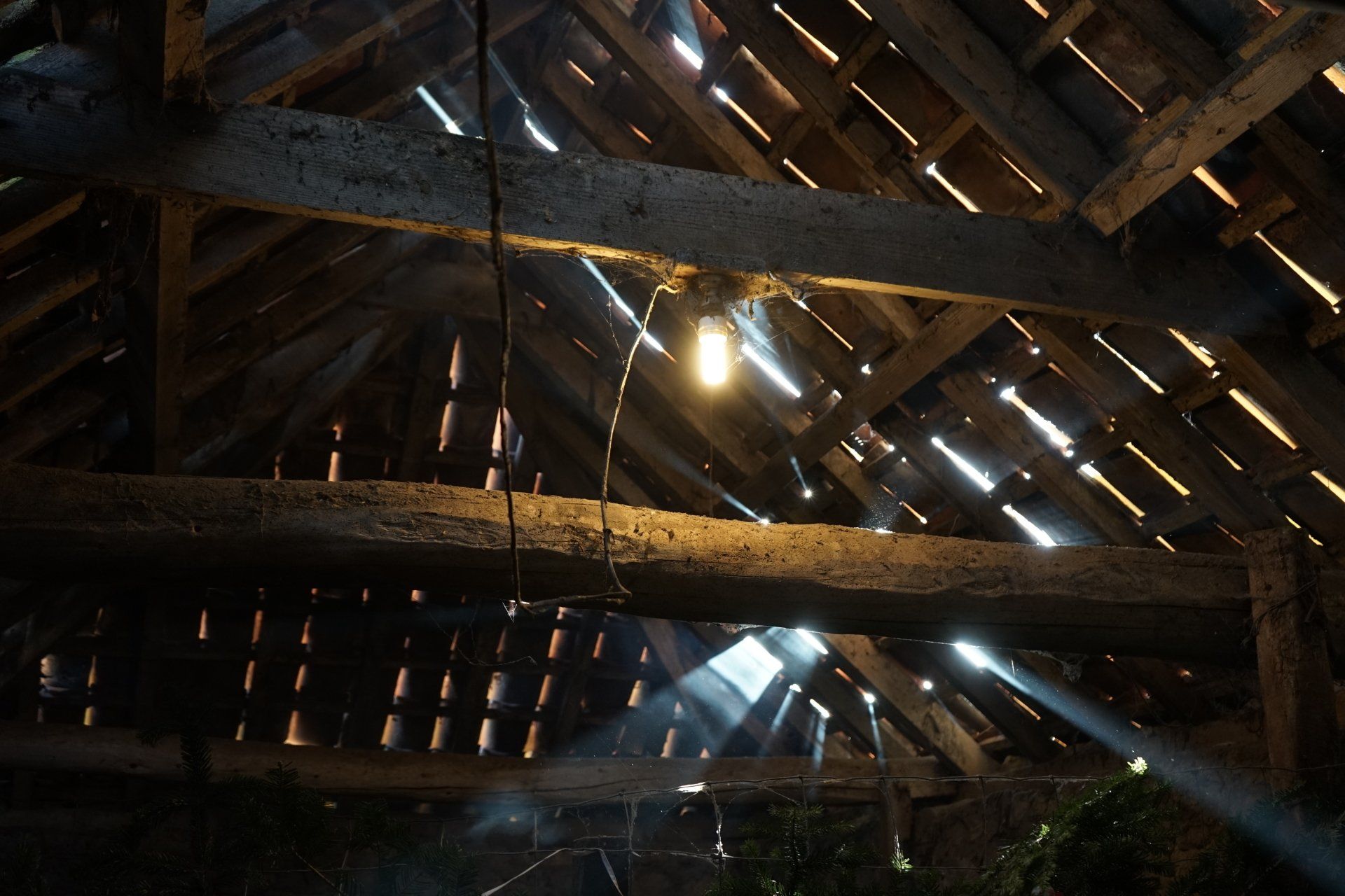 inside a barn