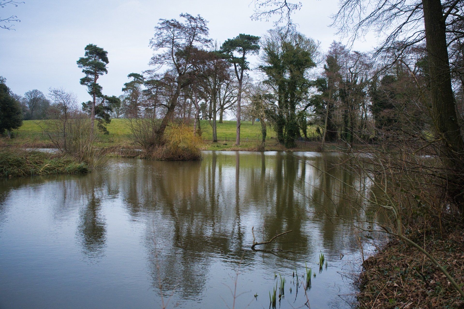 a view of heron lake south elkington