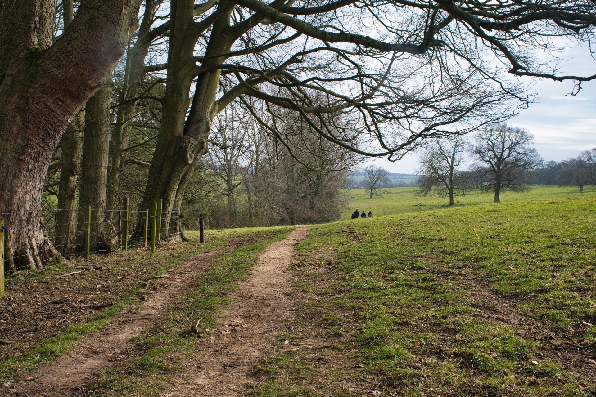 the farm track above south elkington