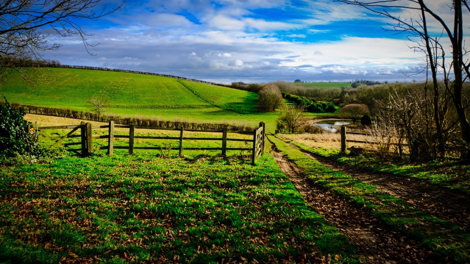 a view of the lincolnshire wolds