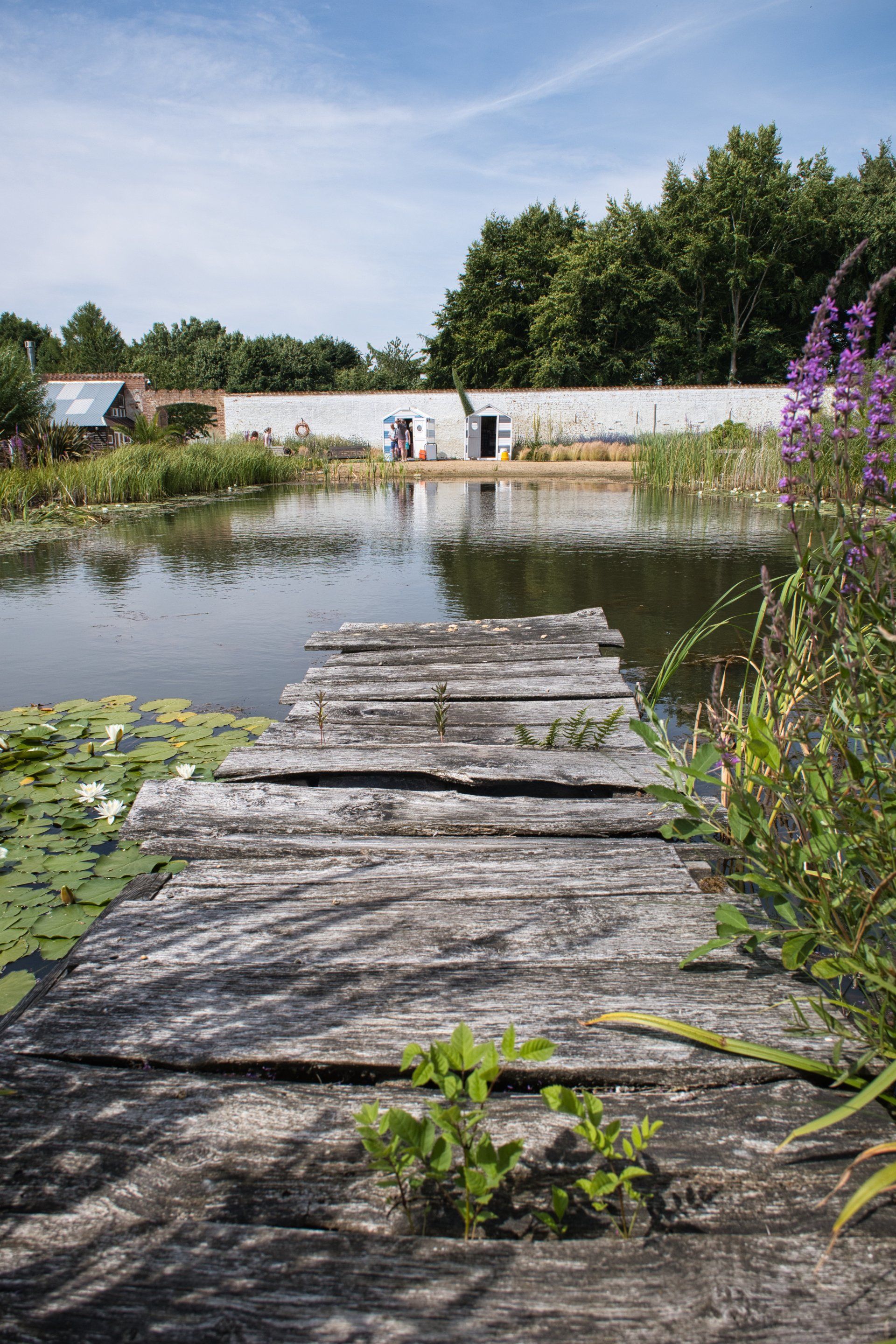 the jetty at the pond