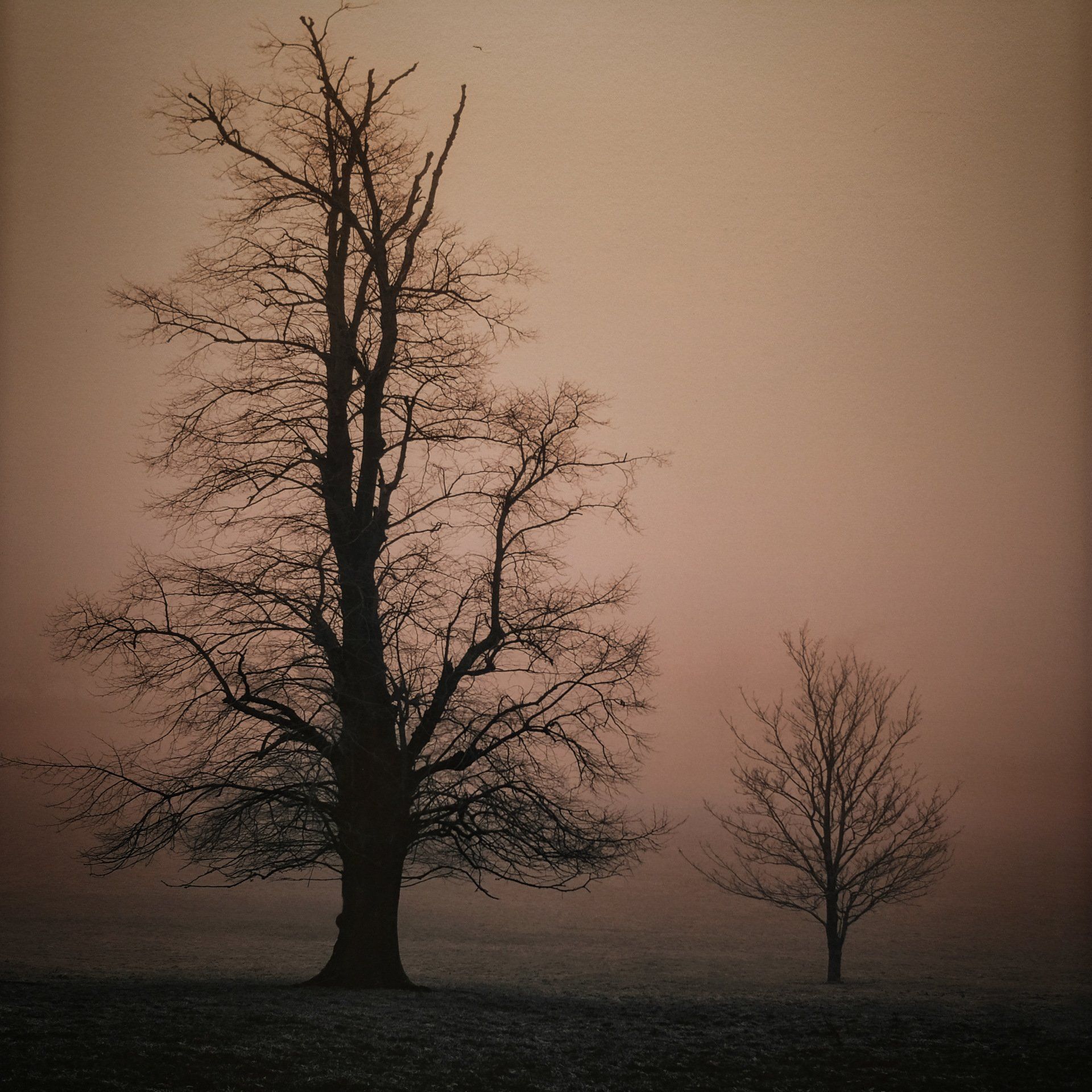low tide on saltfleet haven creek