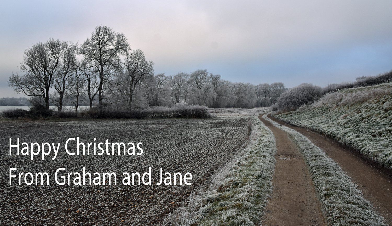 Photo by: Graham Harrison a winter frosted track leading to woodland
