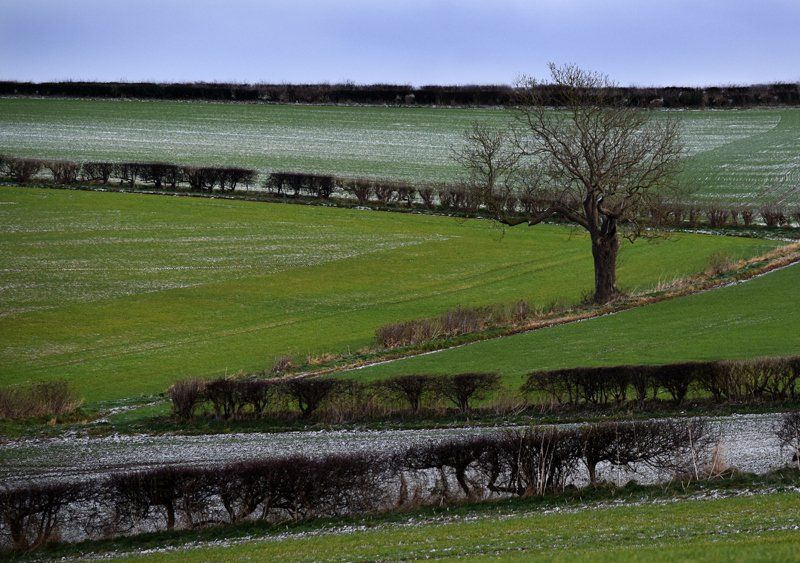 Photo by Graham Harrison lincolnshire wolds