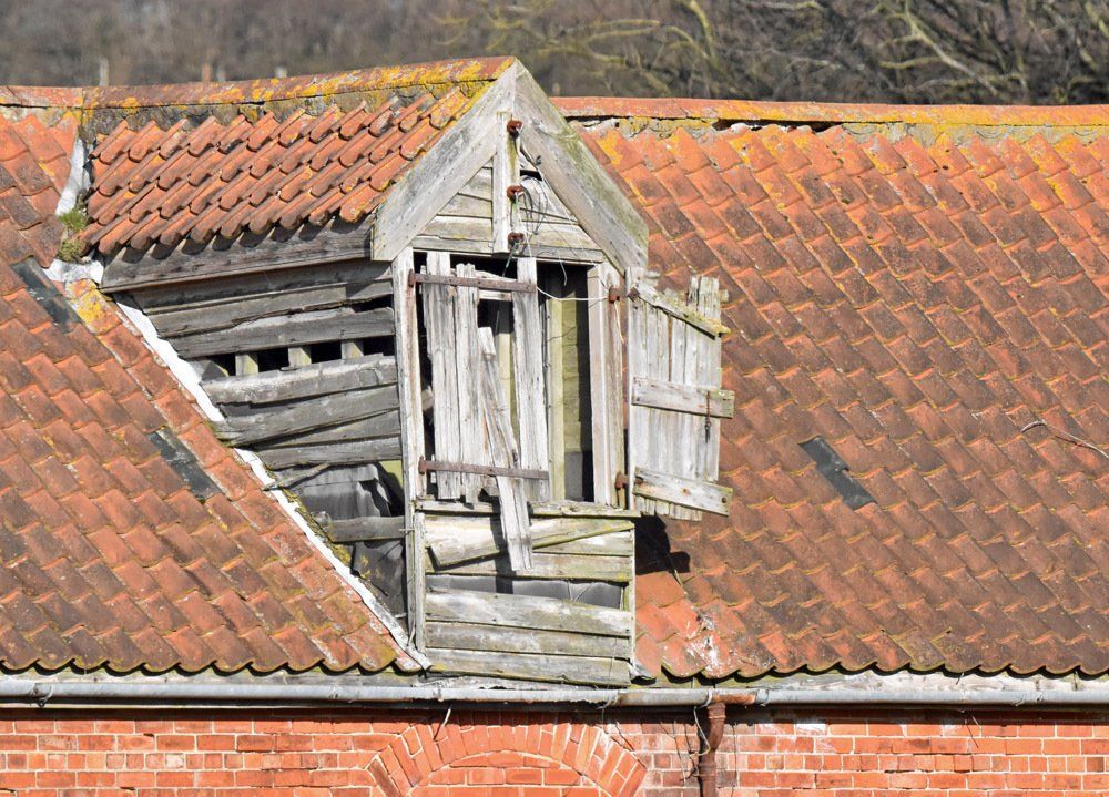 Rooftops by Graham Harrison a semi derelict red pan tiled rooftop