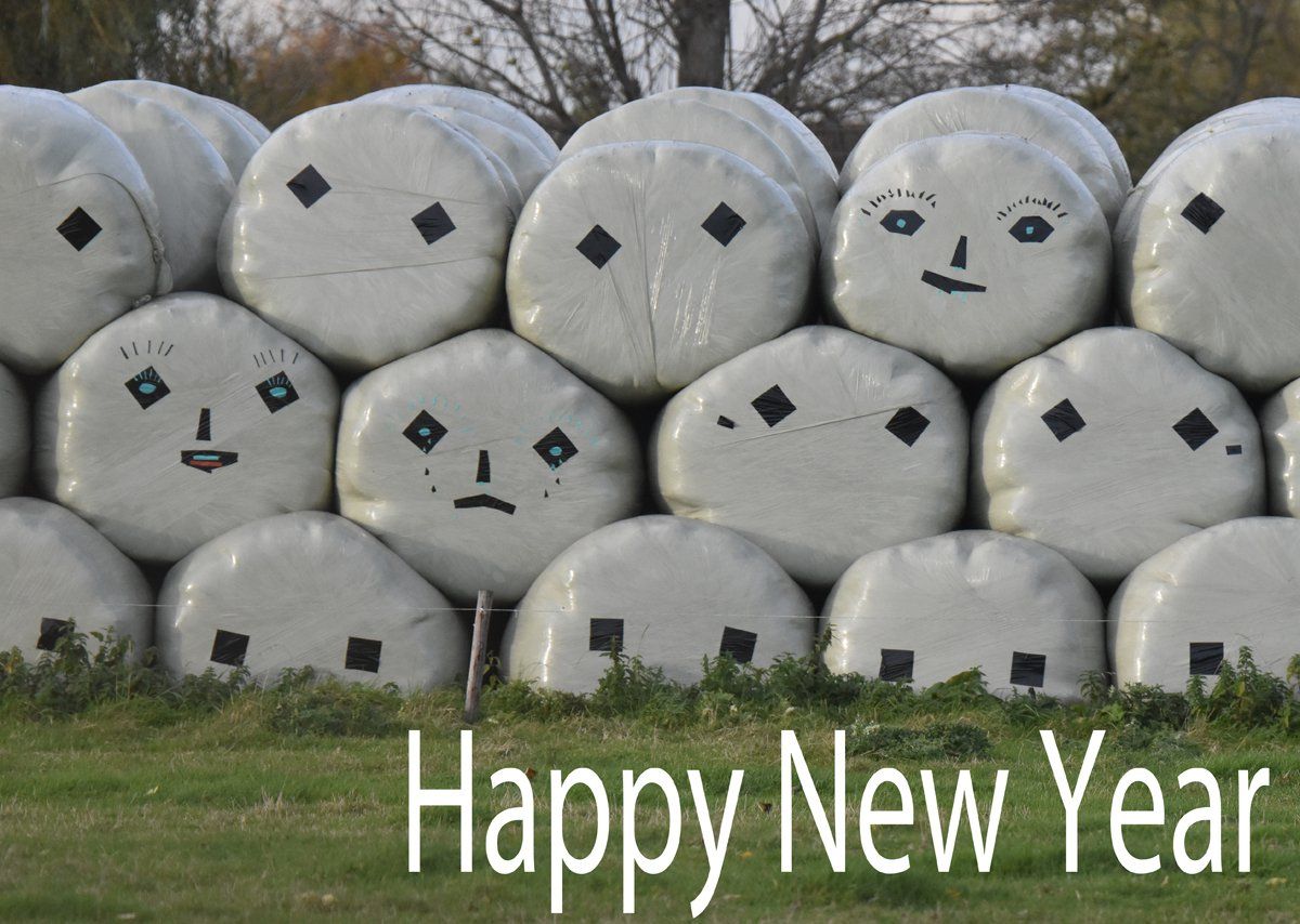 Photo by Graham Harrison funny faces on hay bales