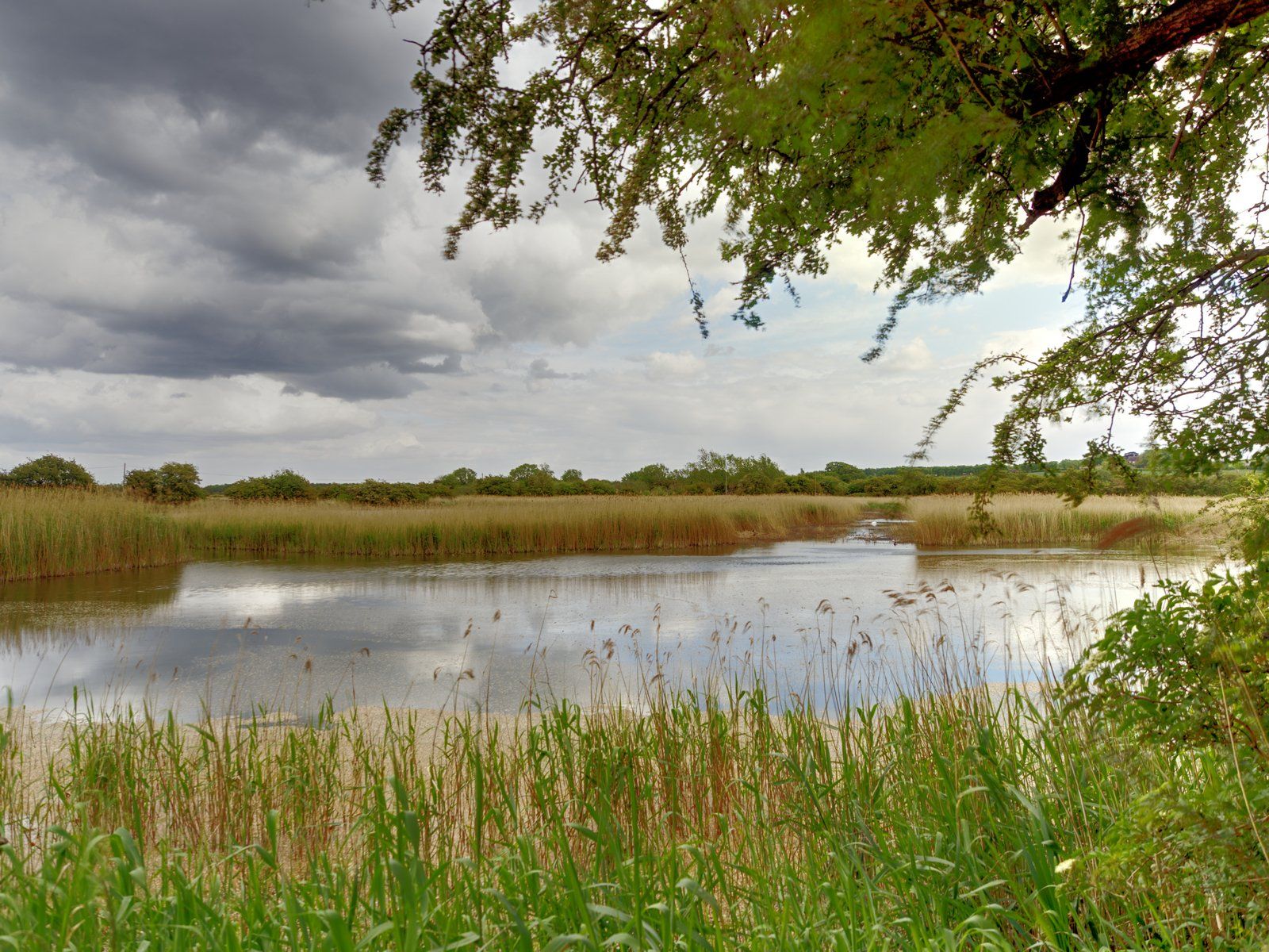 Far Ings Nature Reserve - Derek Smith far ings nature reserve