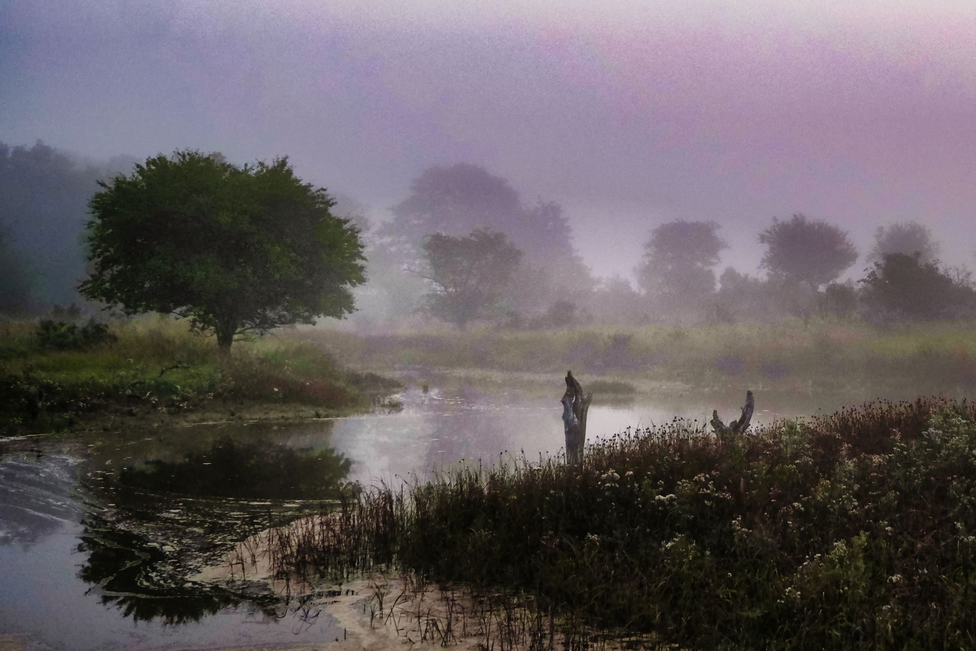 A foggy morning in Lincolnshire