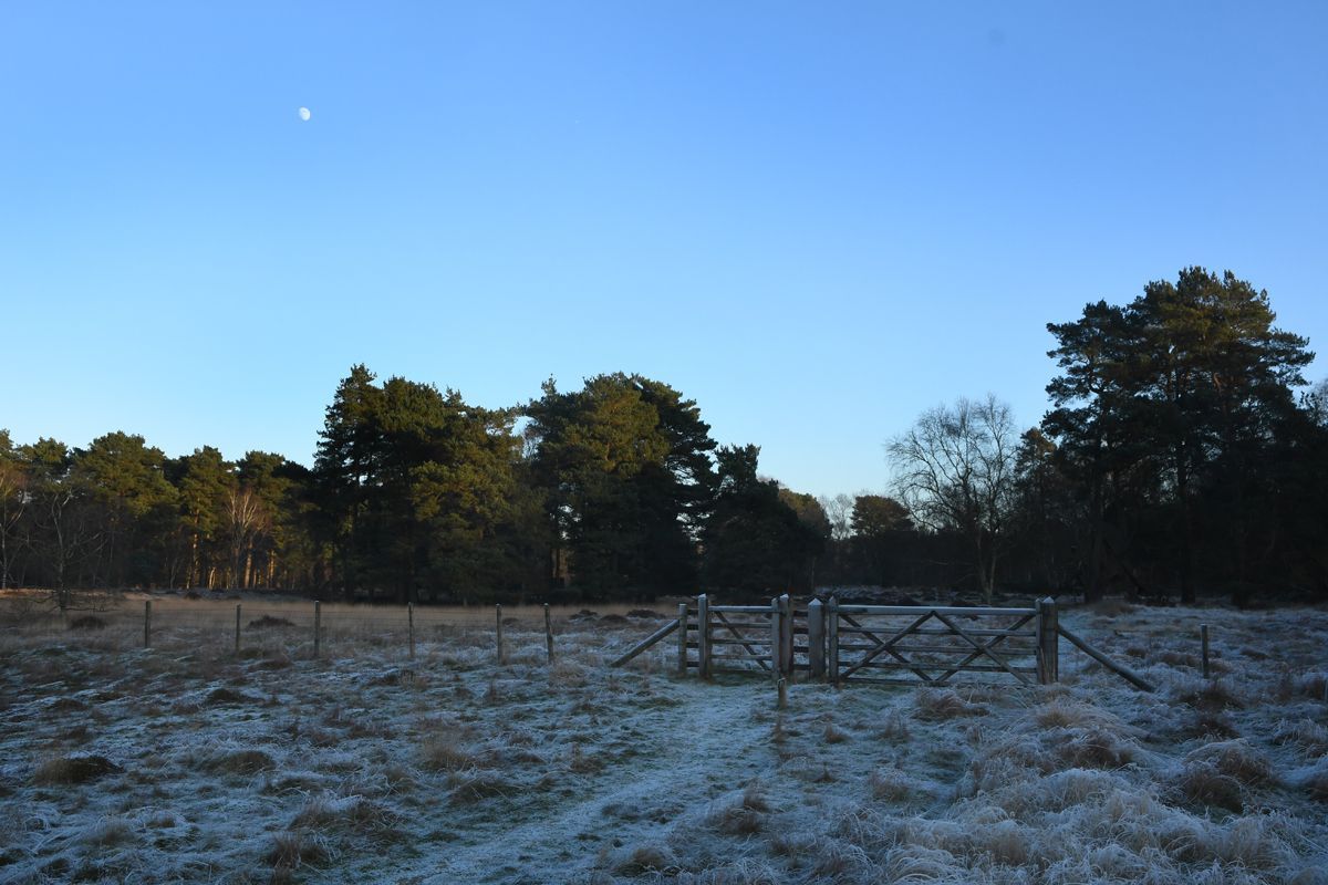 Frost at Linwood by Graham Harrison Frost over fields at Linwood Warren
