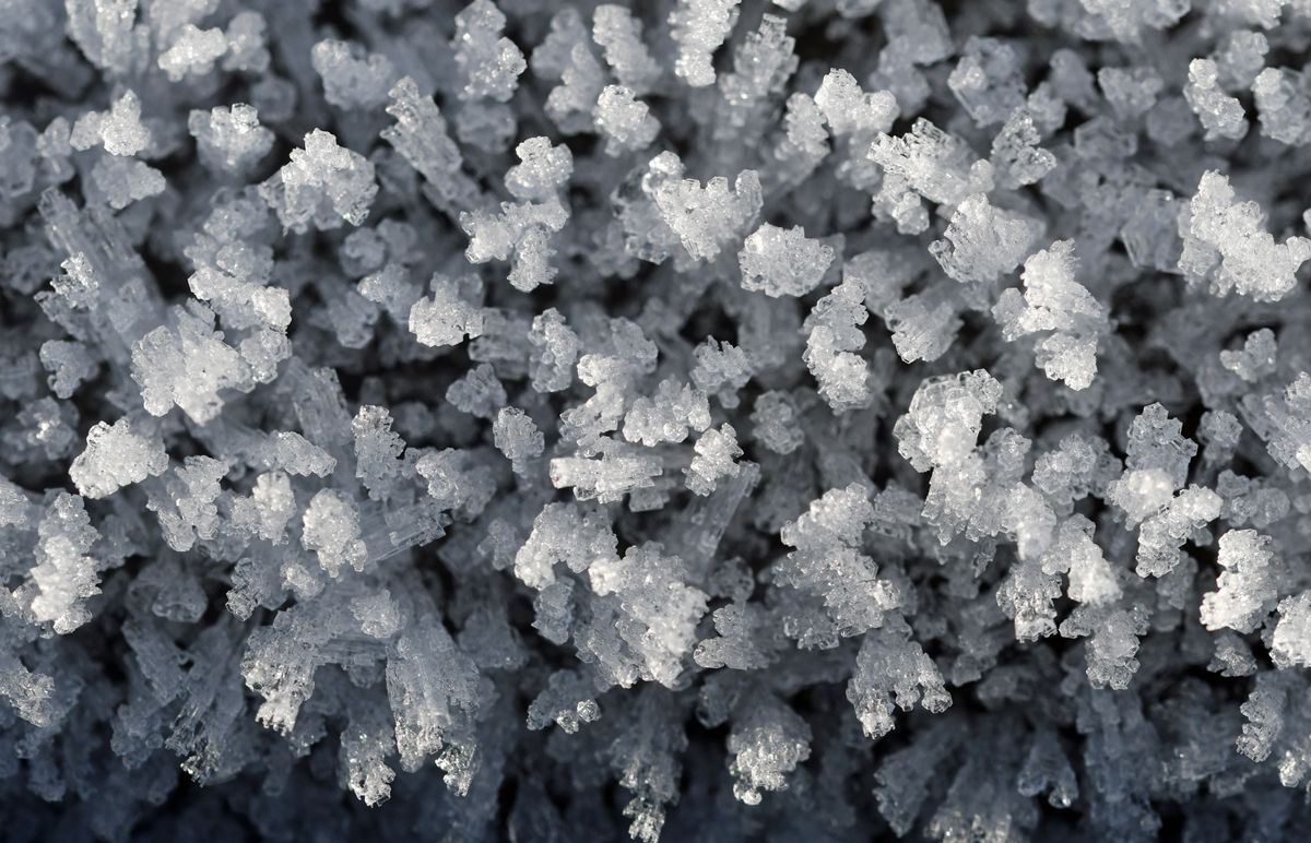 Frost by Graham Harrison Frost Crystals