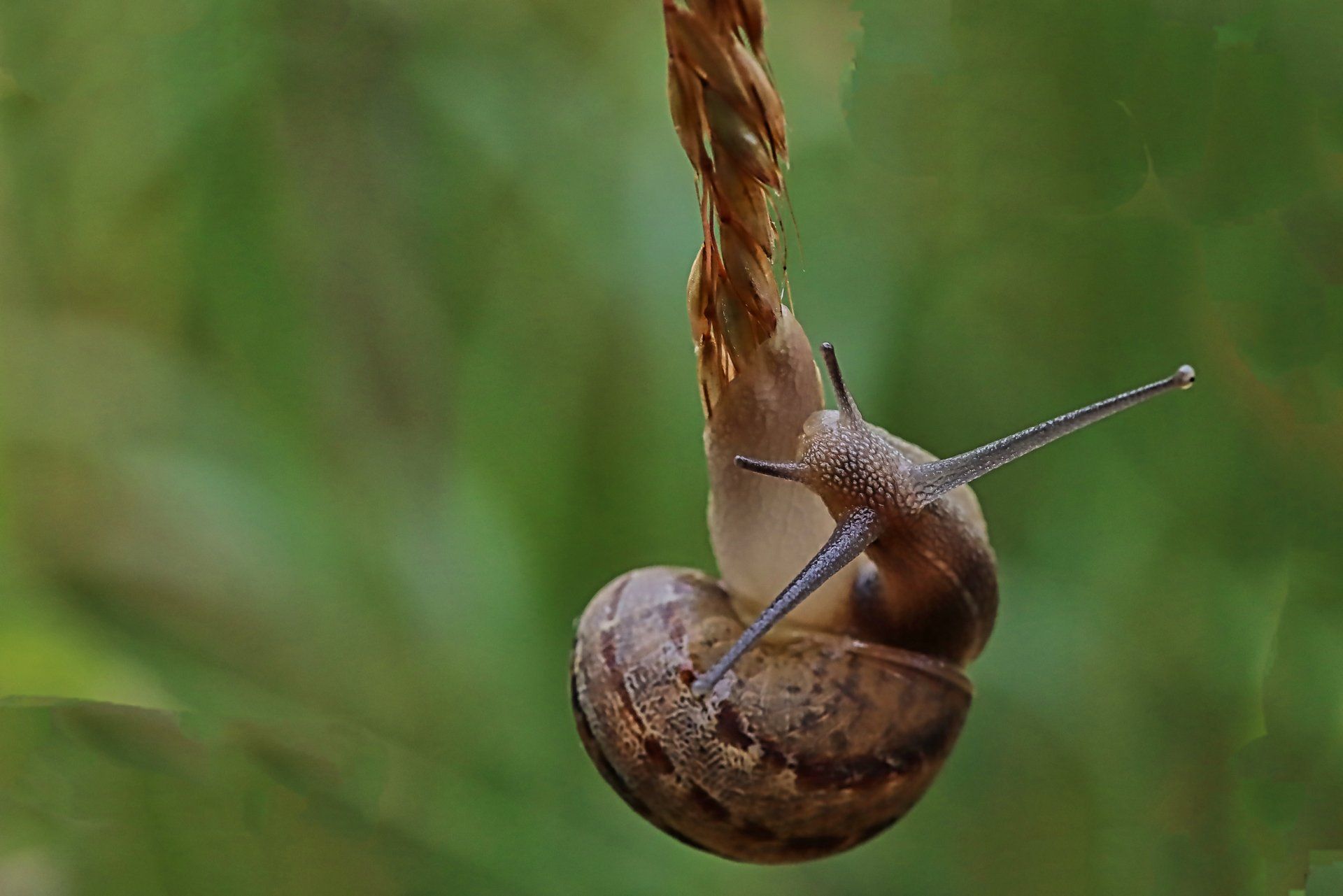 a boat pulled up onto a shingle beach