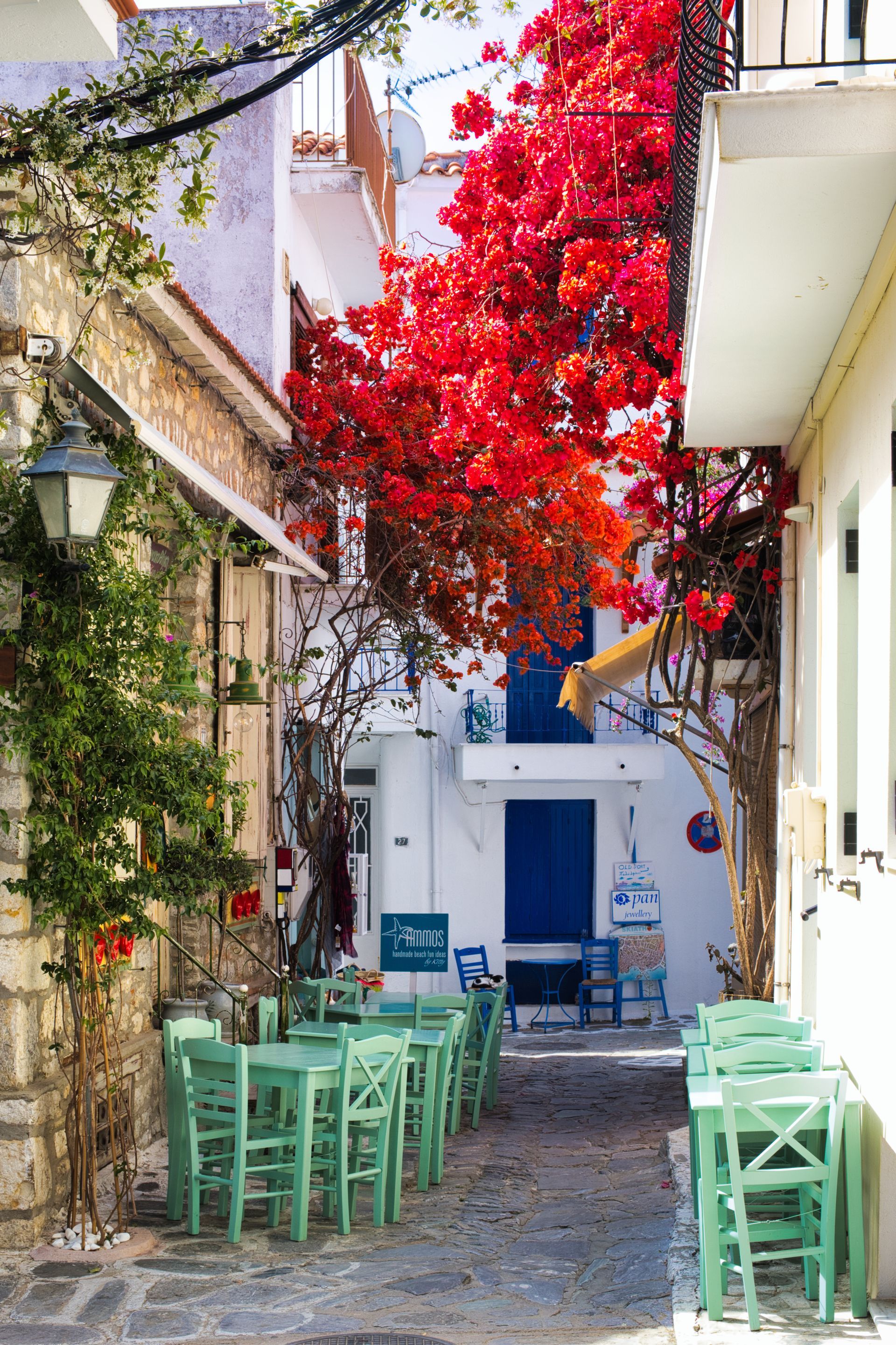 a view of a street in Skiathos, Greece