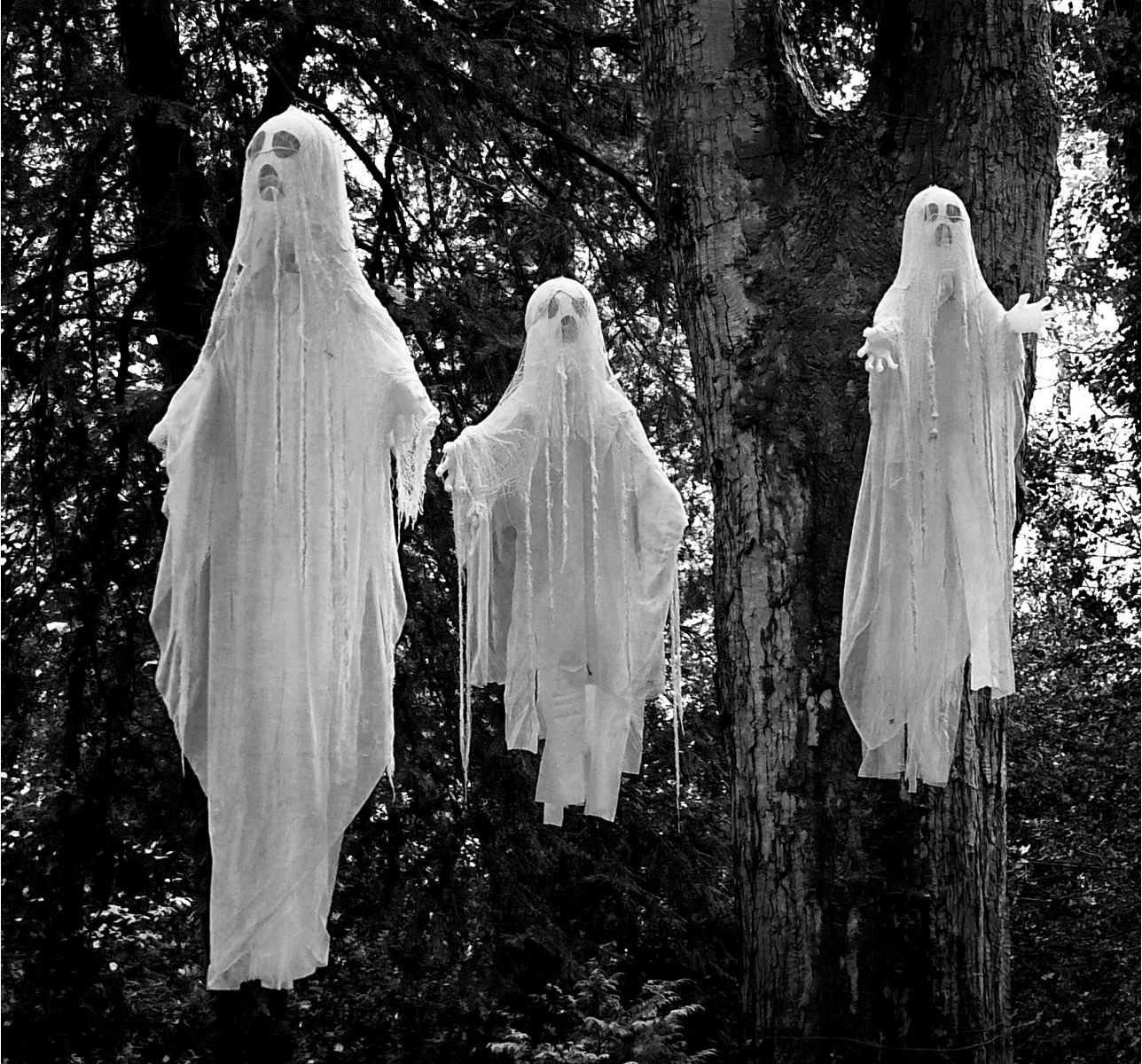 Halloween Ghosts at Perrow by Graham Harrison Halloween Ghosts at Perrow