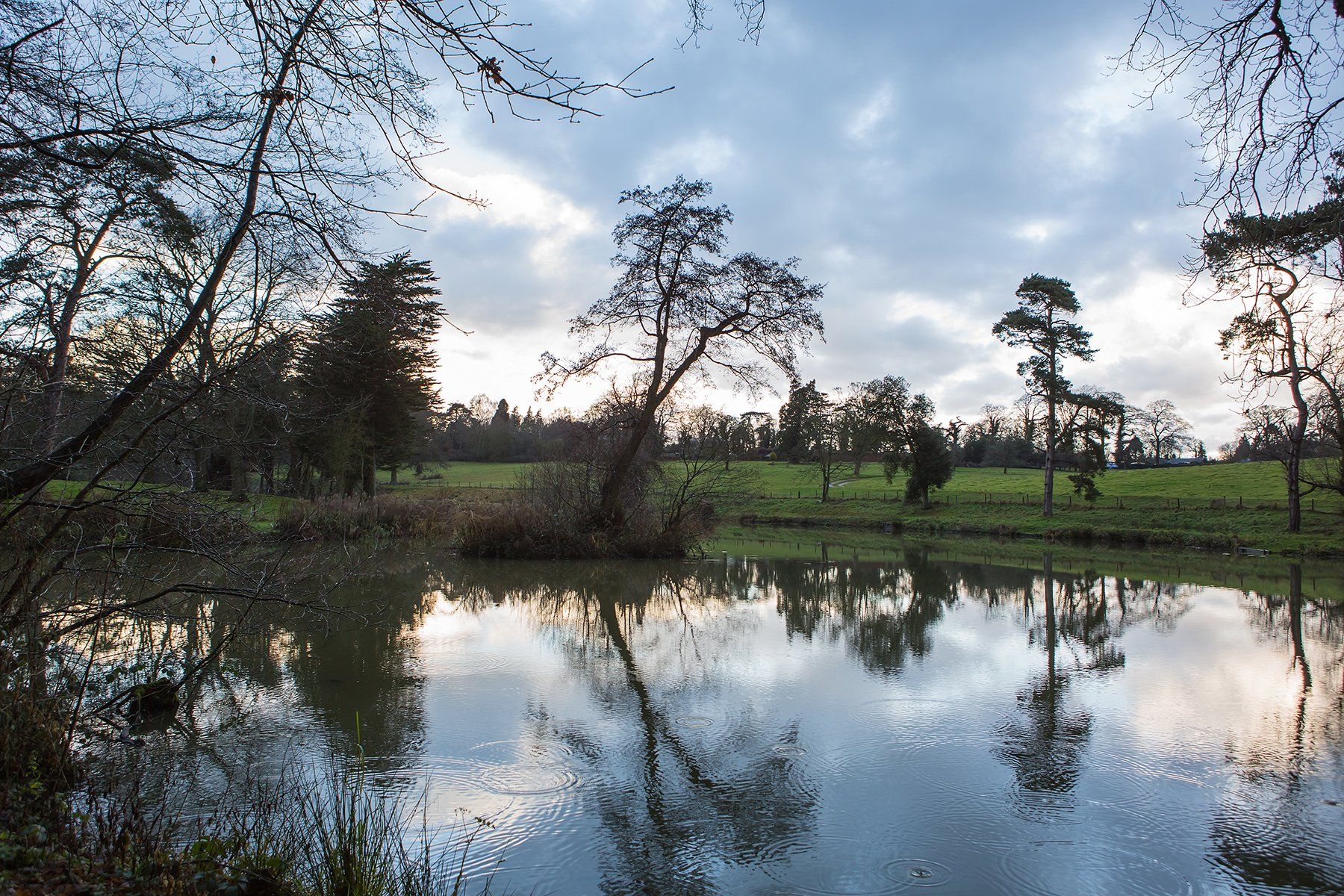 heron lake south elkington lincolnshire
