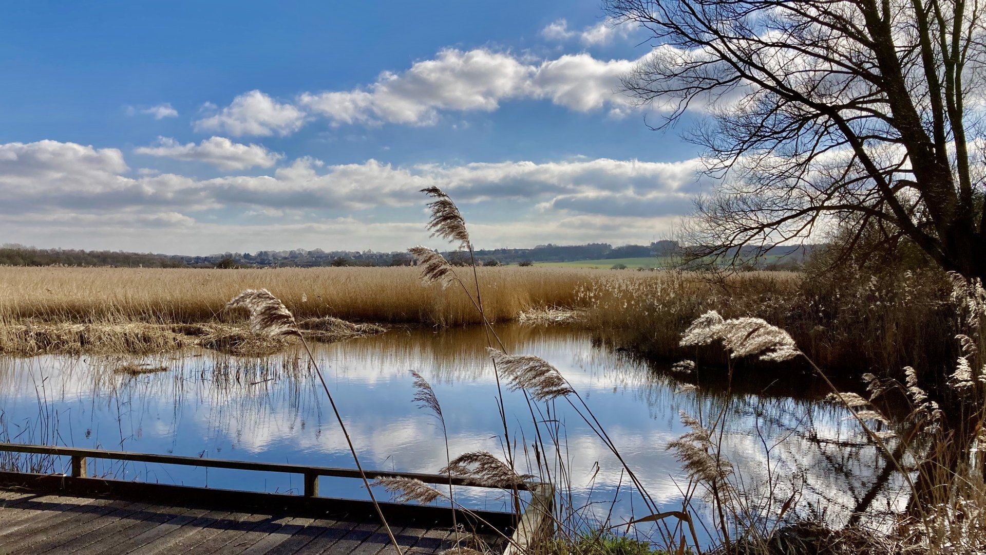 Far Ings photo by Derek Smith a view over a lagoon, with reeds, and blue skies