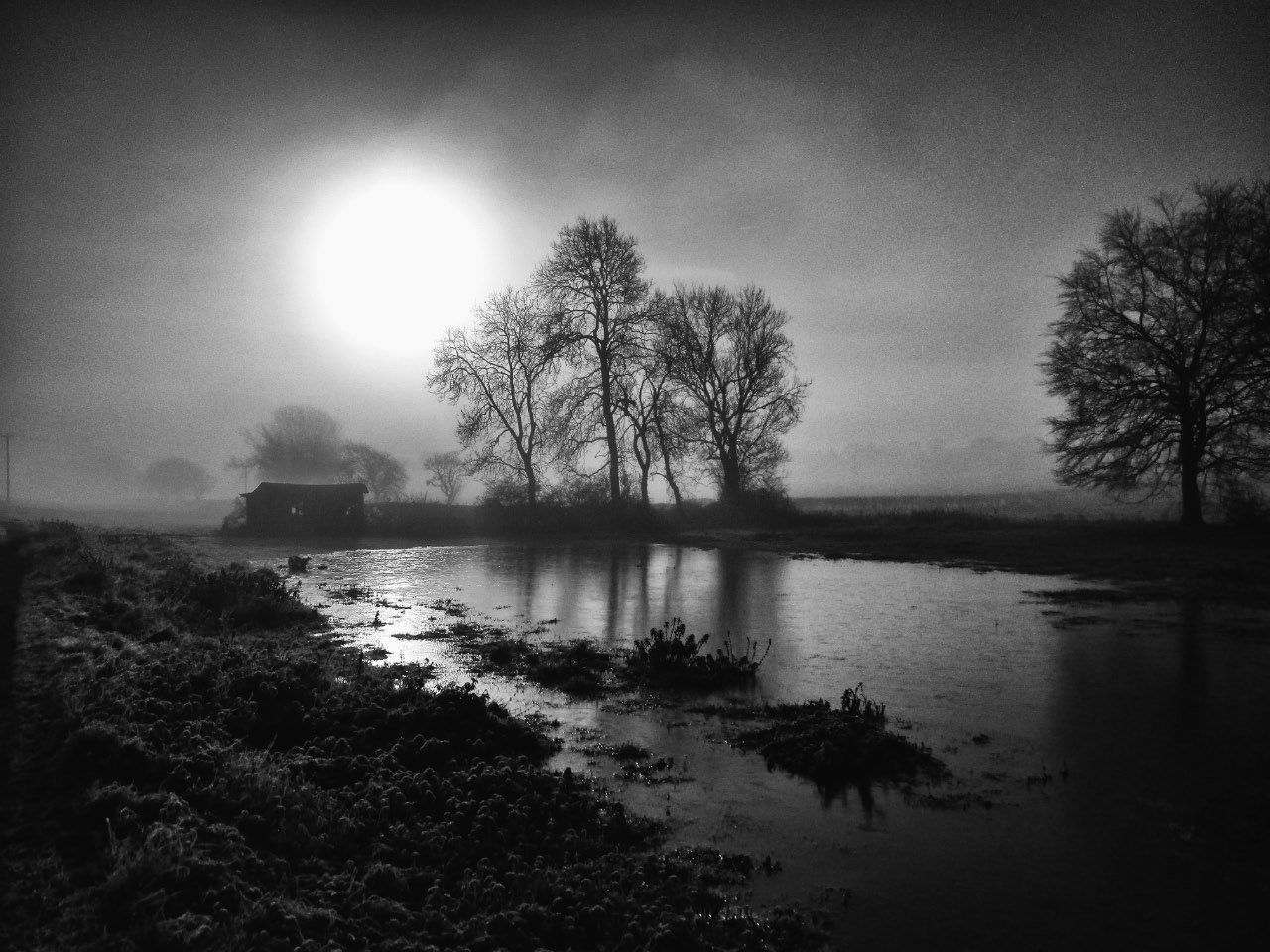 low sun on a water meadow