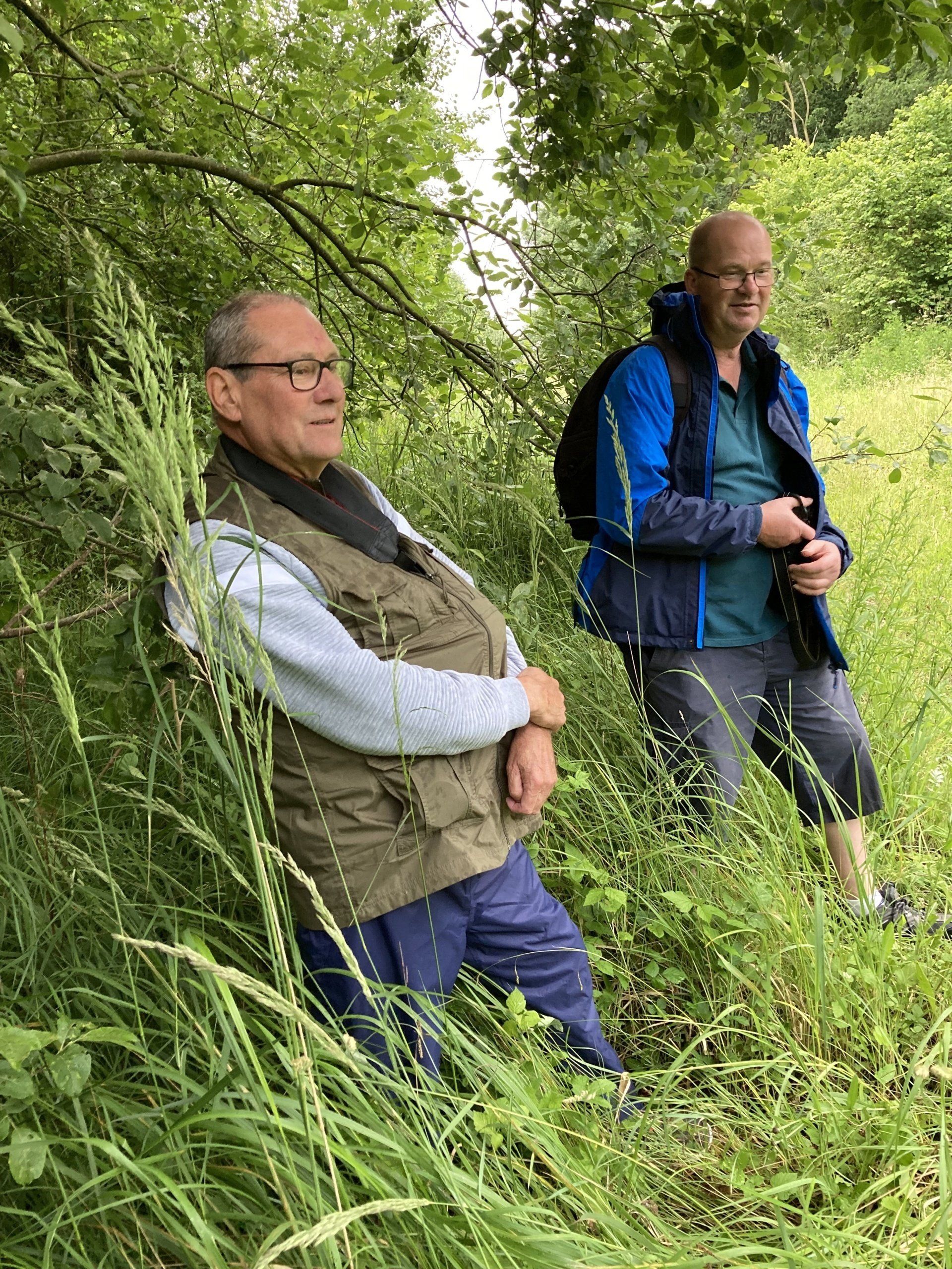 visit to swinn wood in lincolnshire