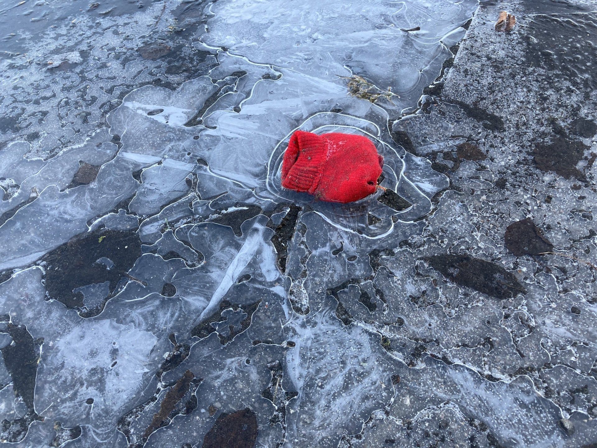 Red Glove on Ice, by Derek Smith a lost red glove in a frozen puddle of ice