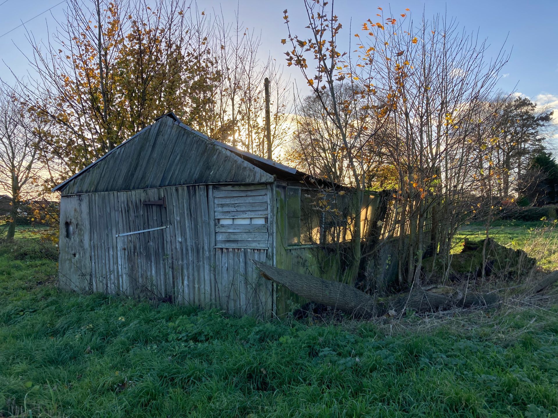 the view behind the derelict shed in the field