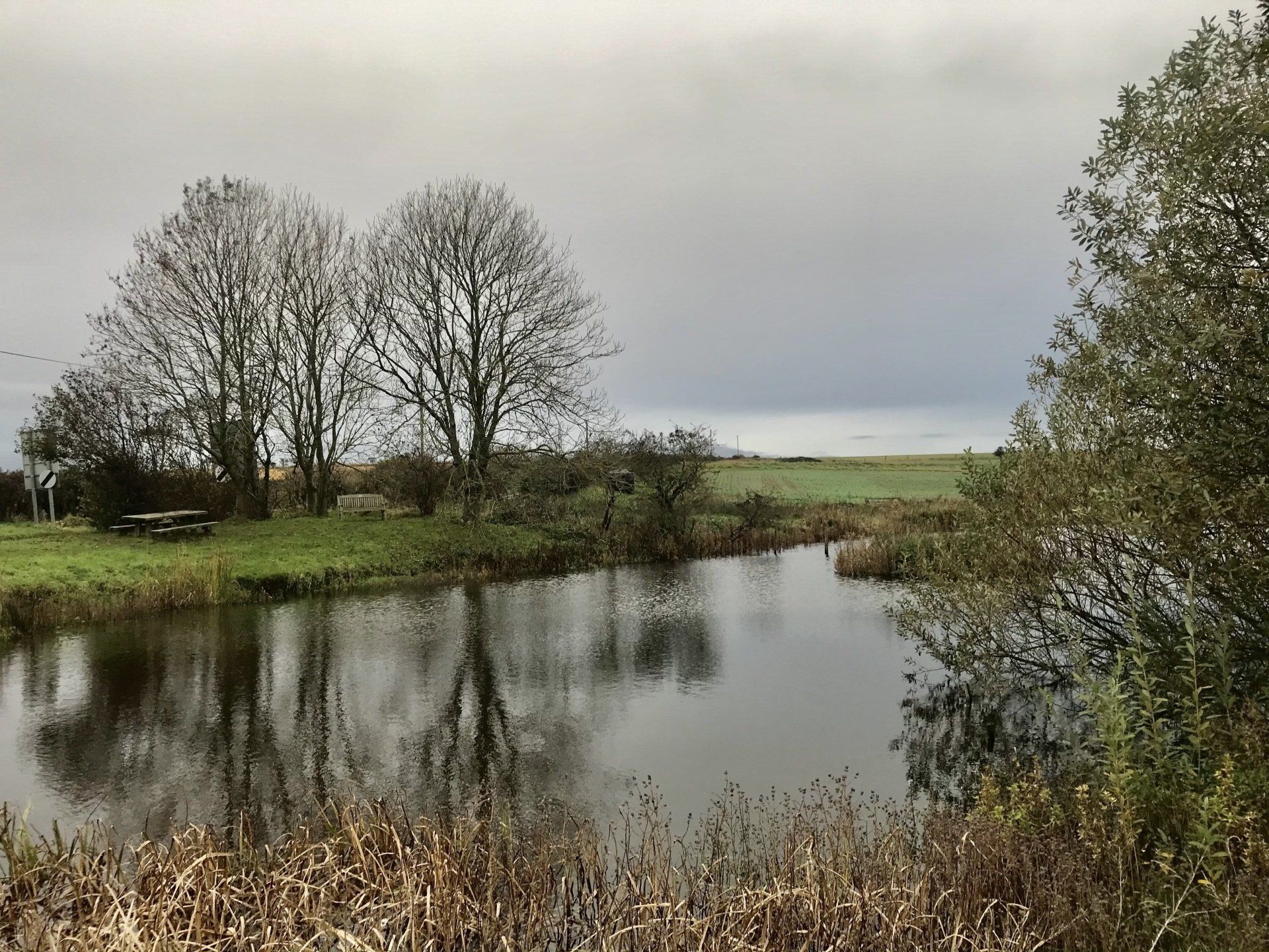 an east riding village pond in the morning