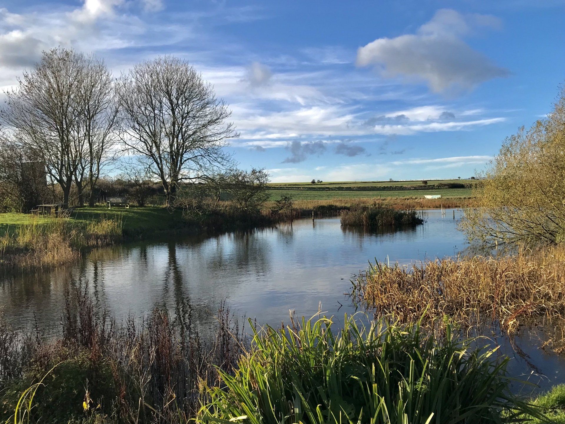 an east riding village pond in the afternoon