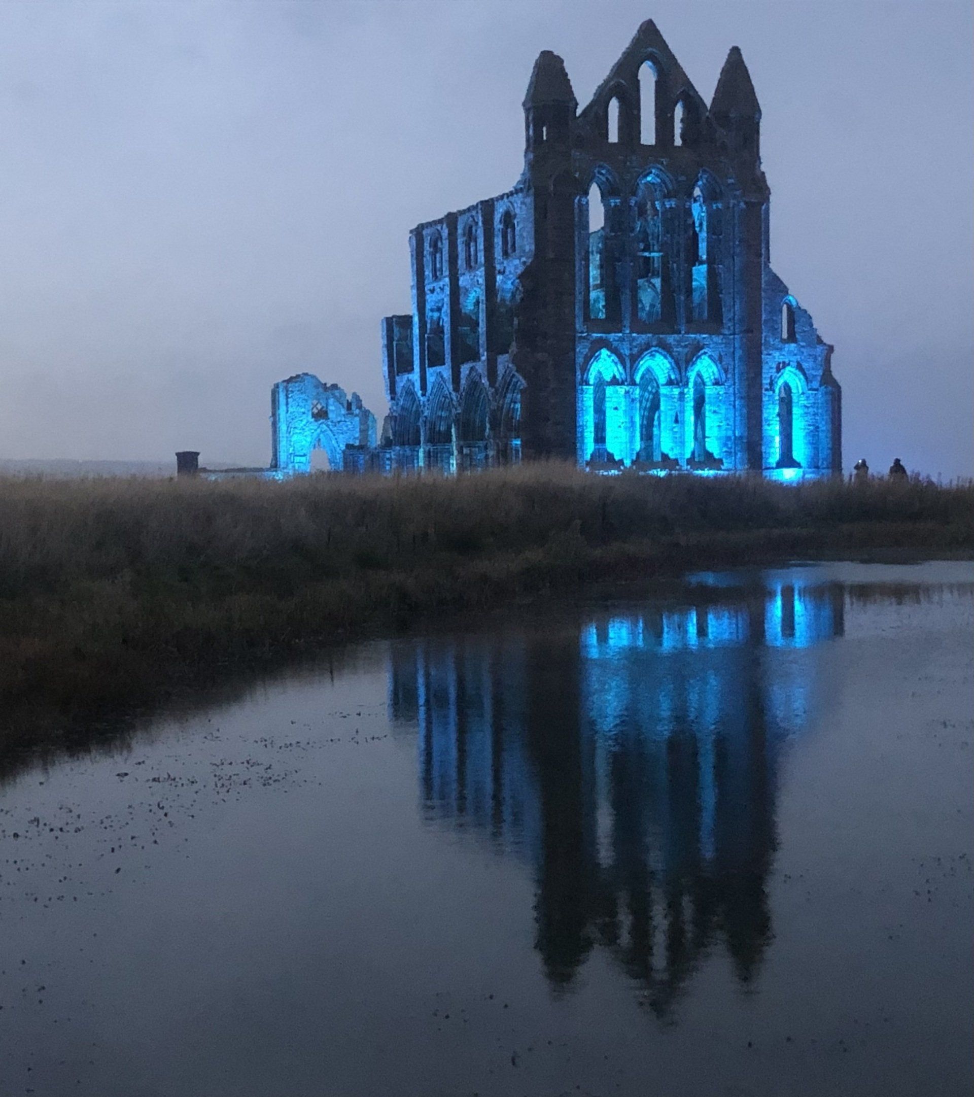whitby abbey illuminated at night