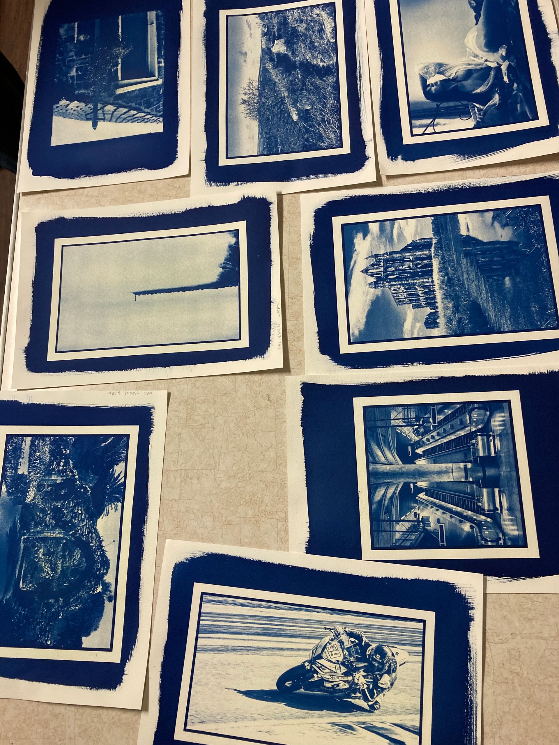 A selection of members Cyanotype processed images