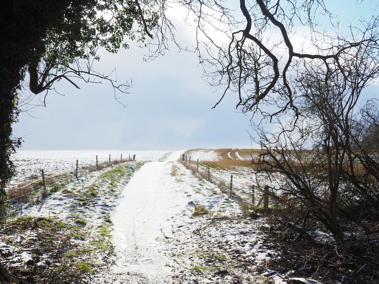 snowy lincolnshire countryside