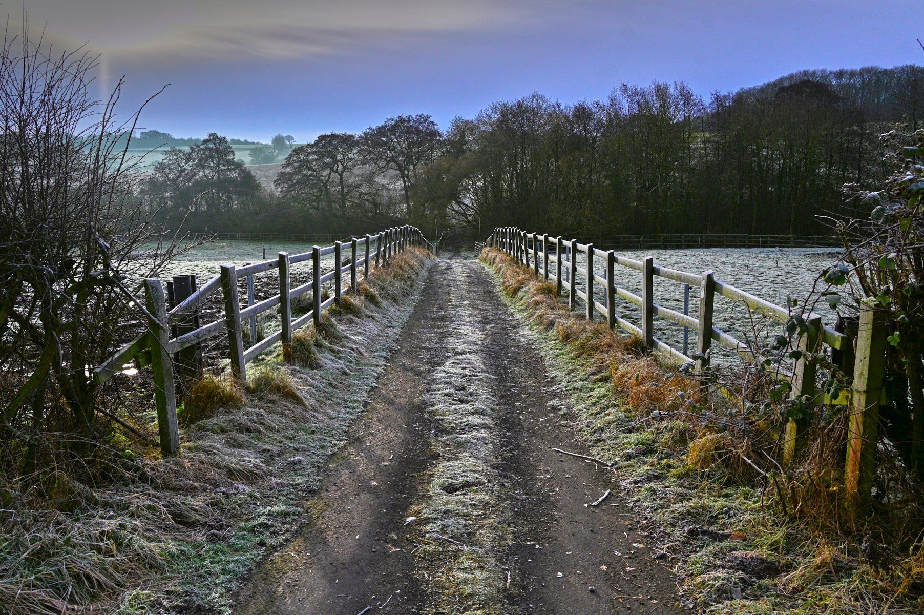 January by Paul Gray a farm track, and public bridle path, in january
