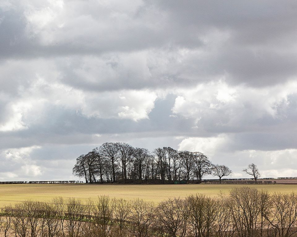 Photo by Ian Jackson lincolnshire  wolds landscape