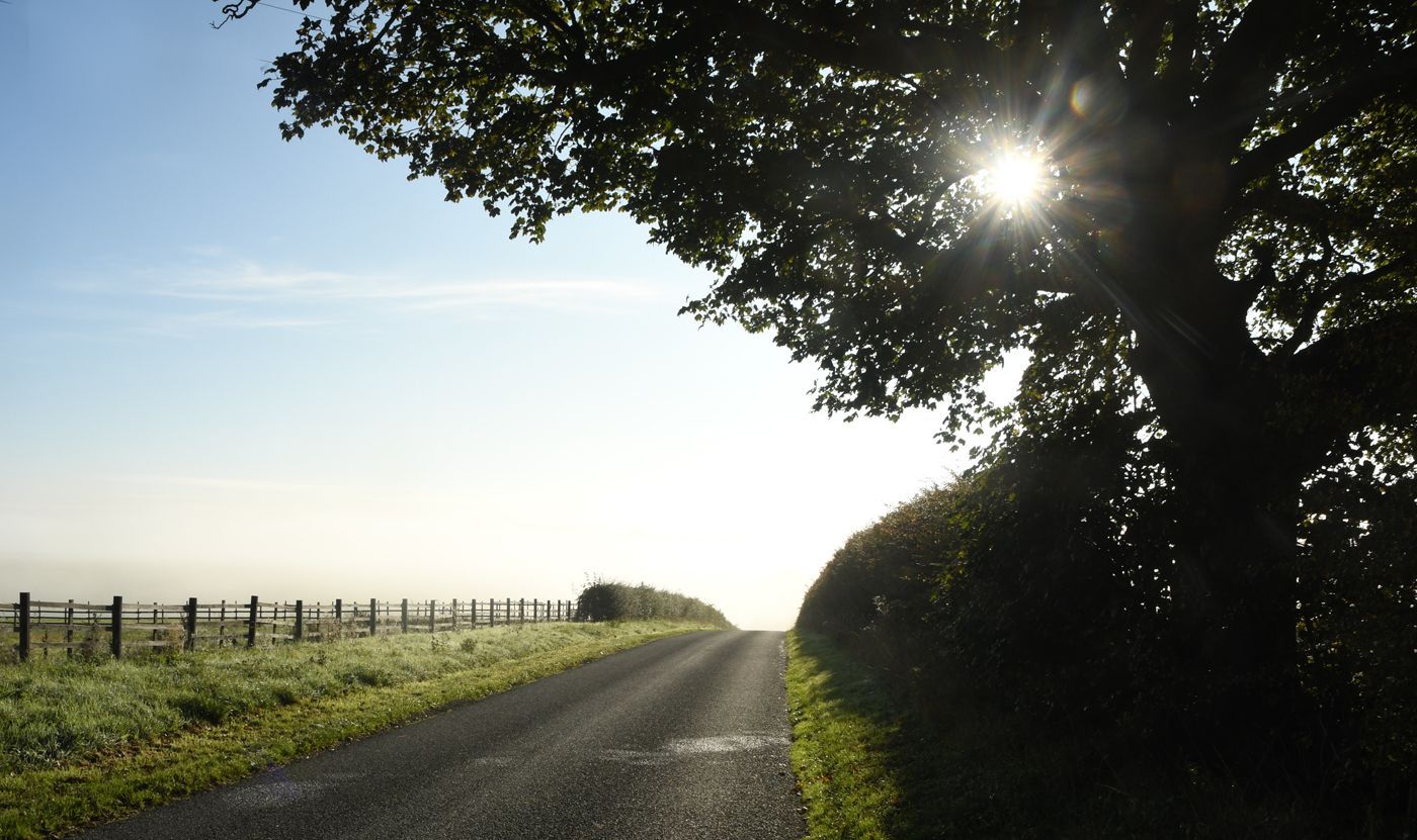 Light, and fog by Graham Harrison Lincolnshire countryside sunlight, and fog