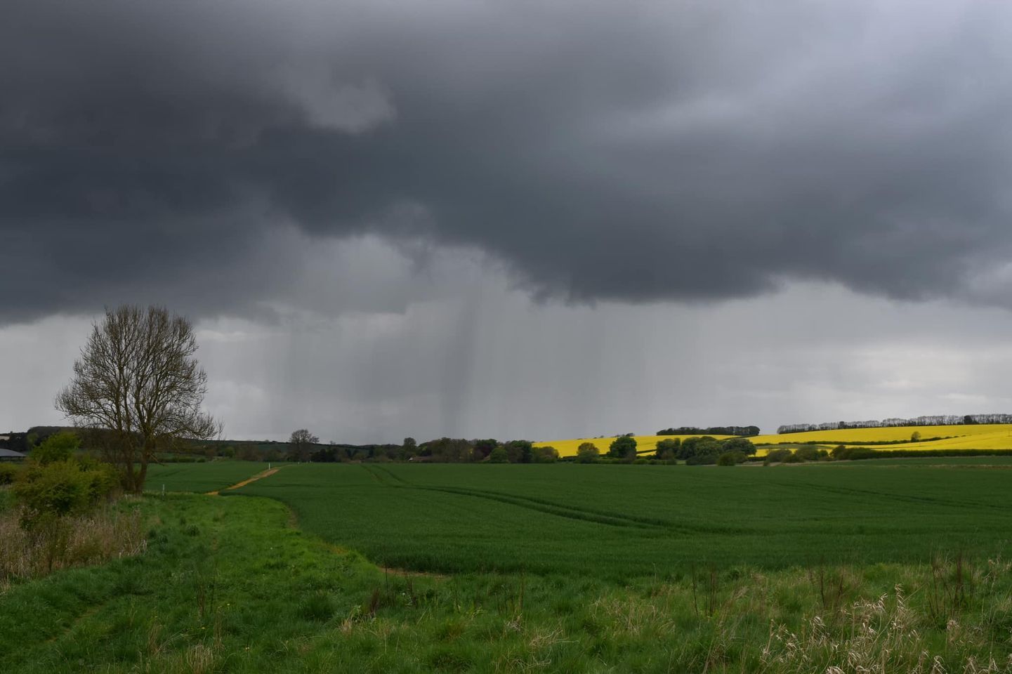Photo by Graham Harrison view of the lincolnshire wolds