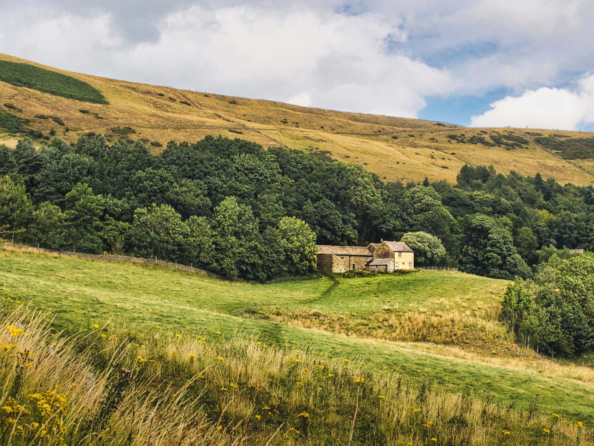 a boat pulled up onto a shingle beach