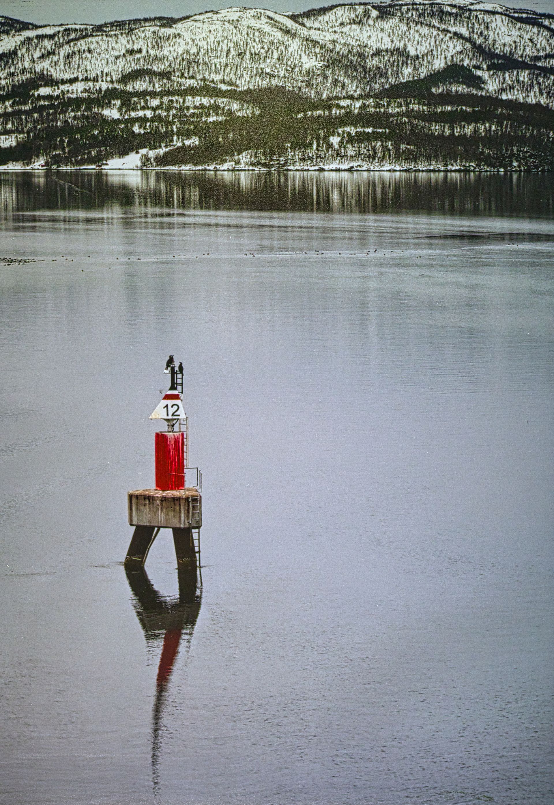 a gathering of birds on a navigation buoy