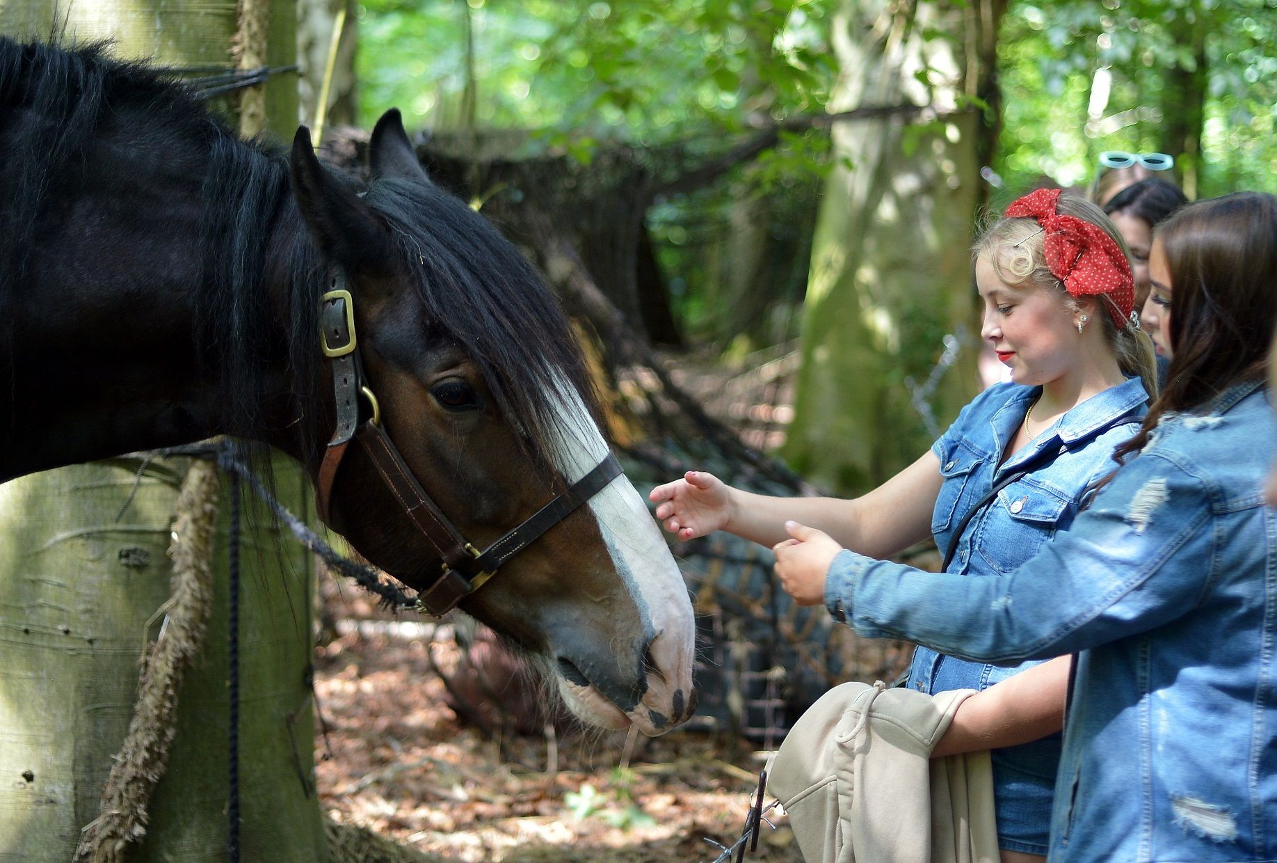 two women patting a horse