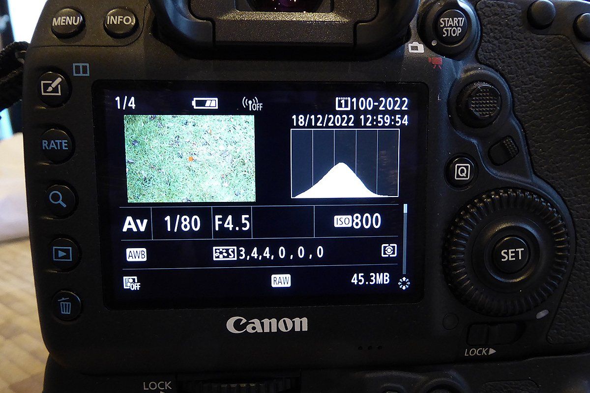 view of the rear of a digital camera display showing the histogram