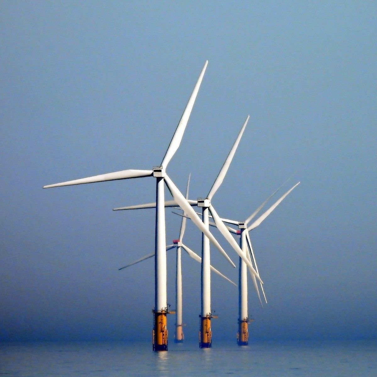 Wind turbines in the North Sea