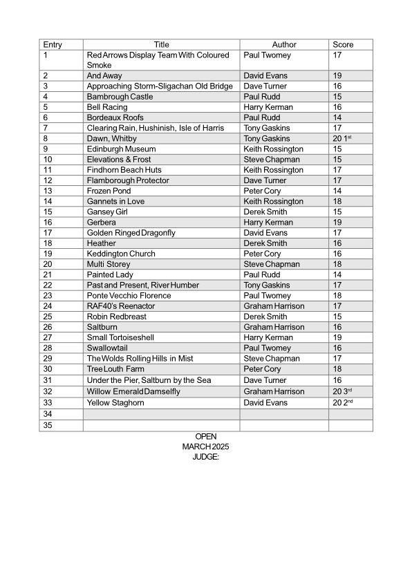 A willow emerald damselfly