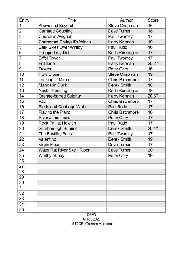 a shield bug insect on a flower