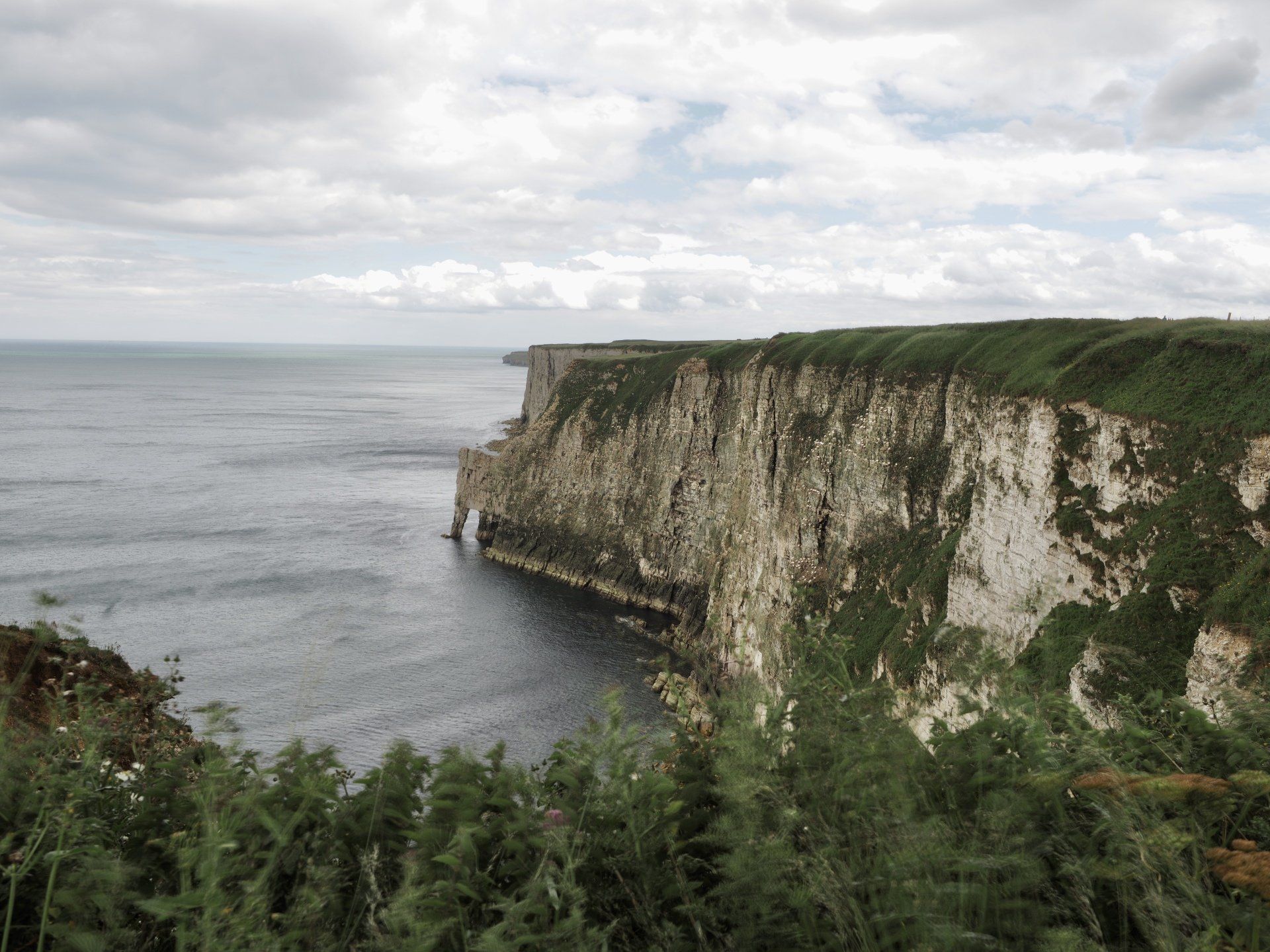 a view along bempton cliffs
