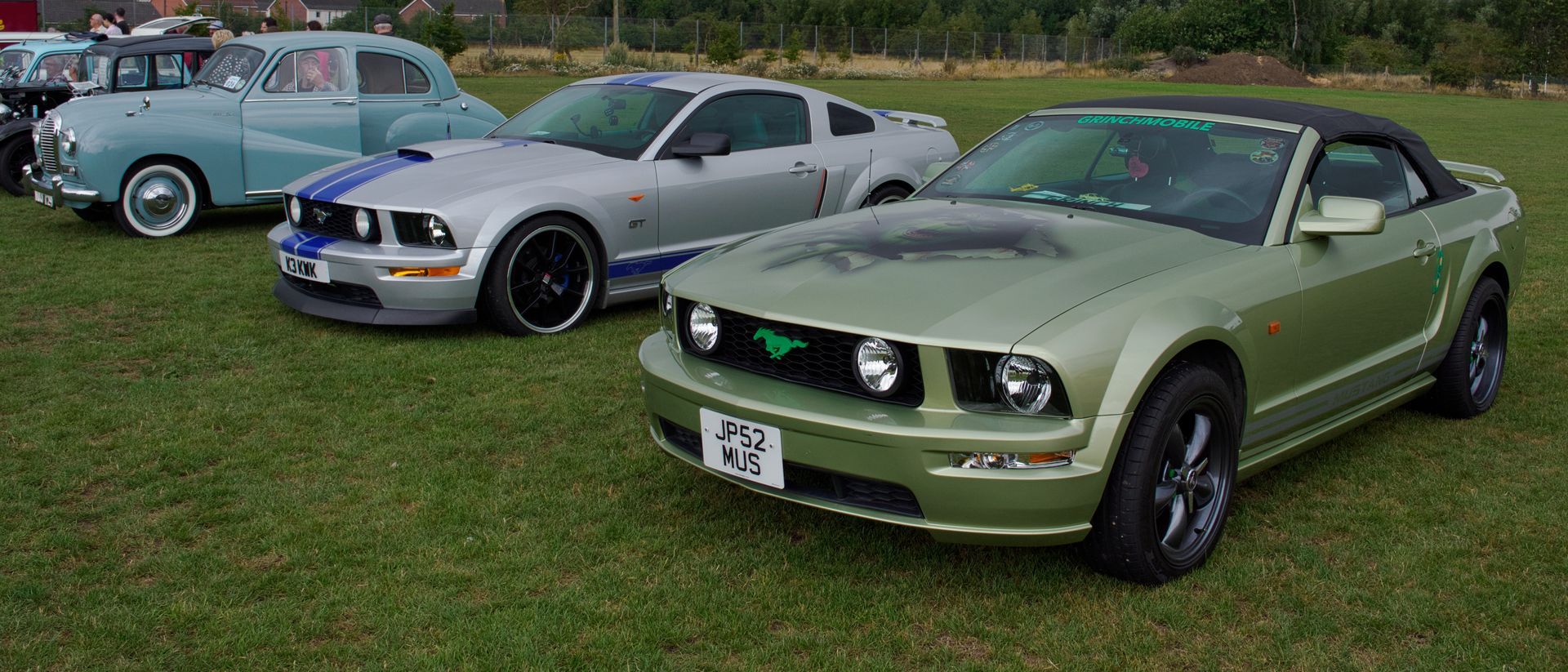 A Brace of Mustangs