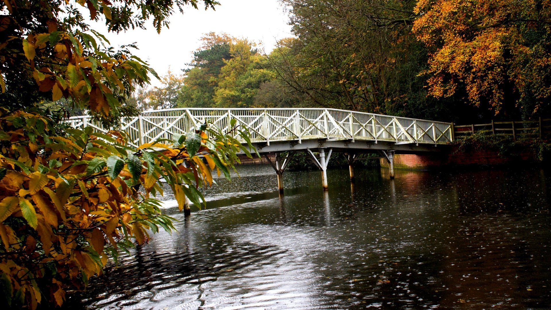 a white bridge at hartsholme country park