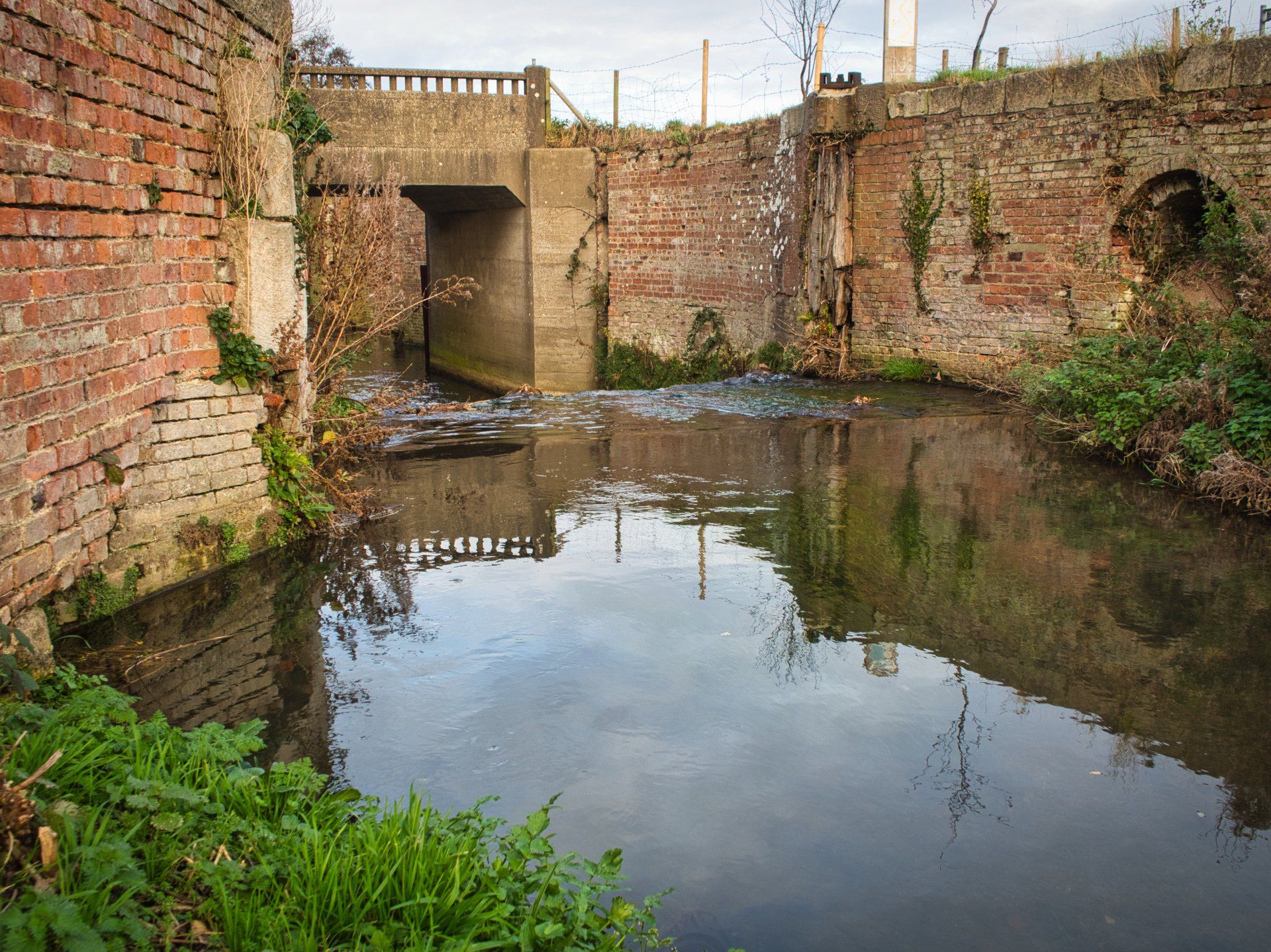 louth canal ticklepenny lock