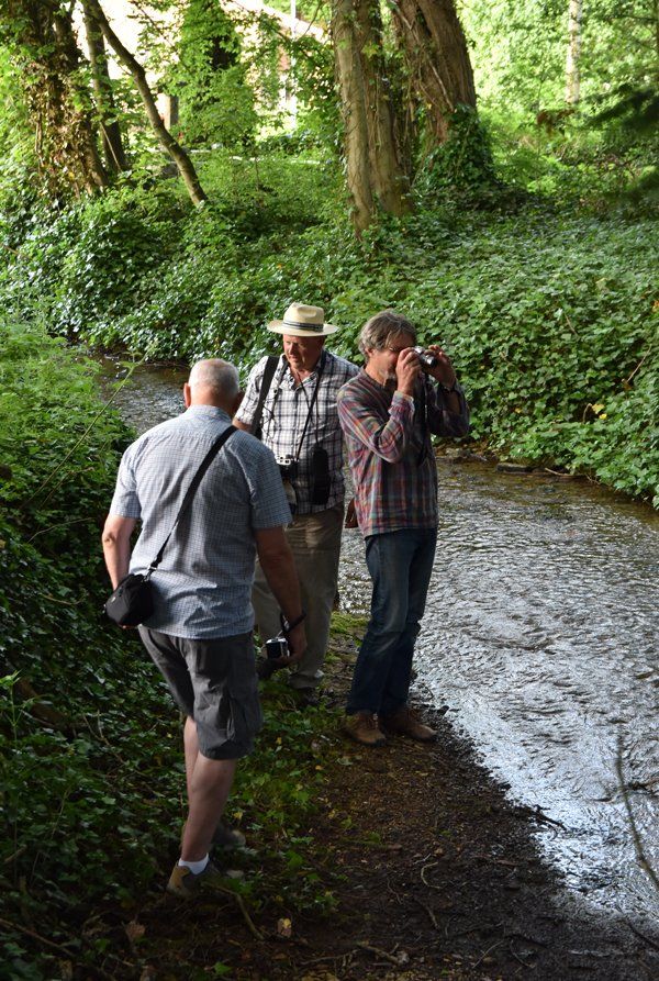 photographers at tathwell