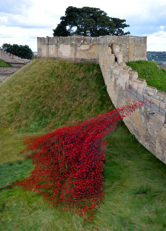 Poppies at Lincoln Castle by Graham Harrison a commemorative net of poppies at Lincoln Castle walls