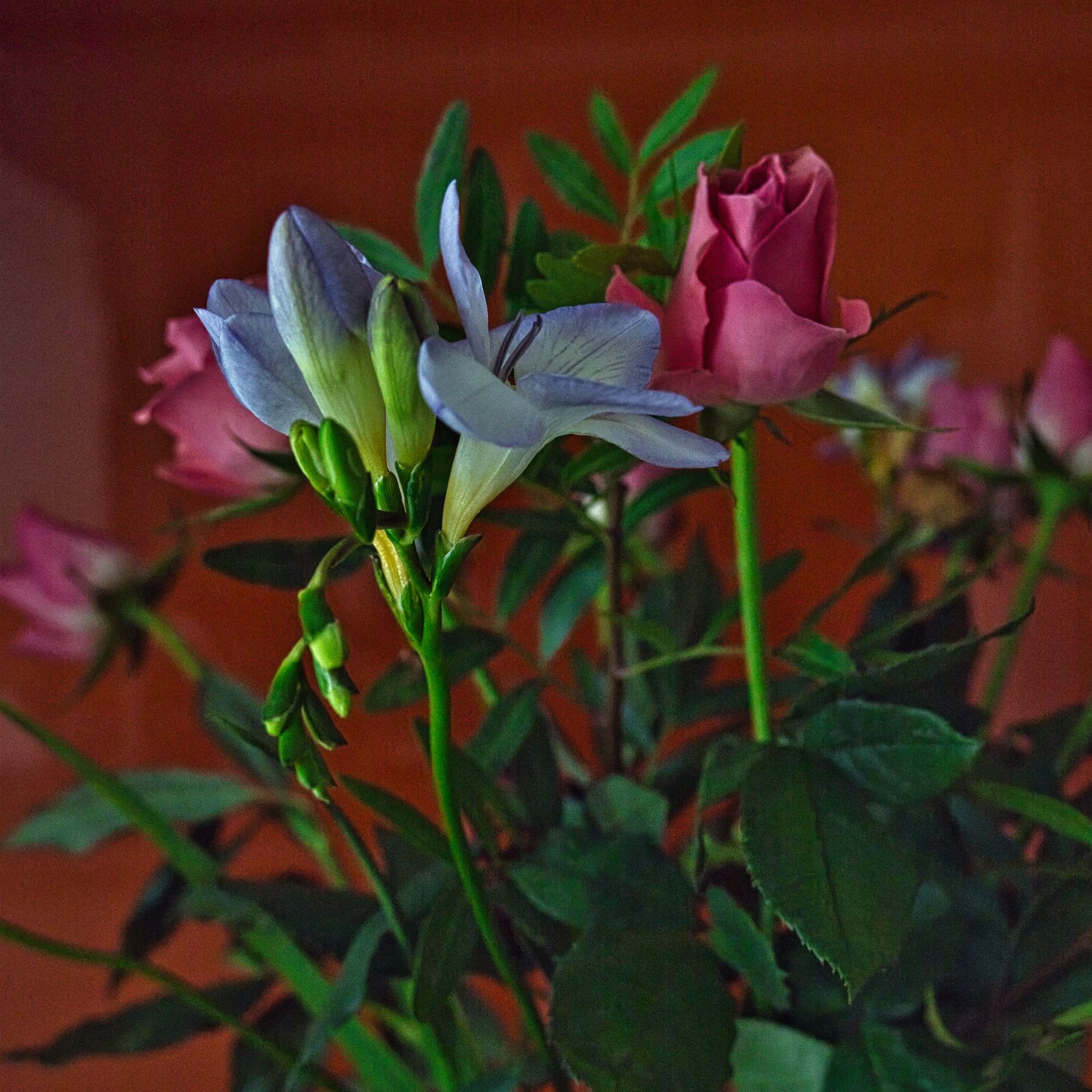 A bunch of flowers processed from RAW