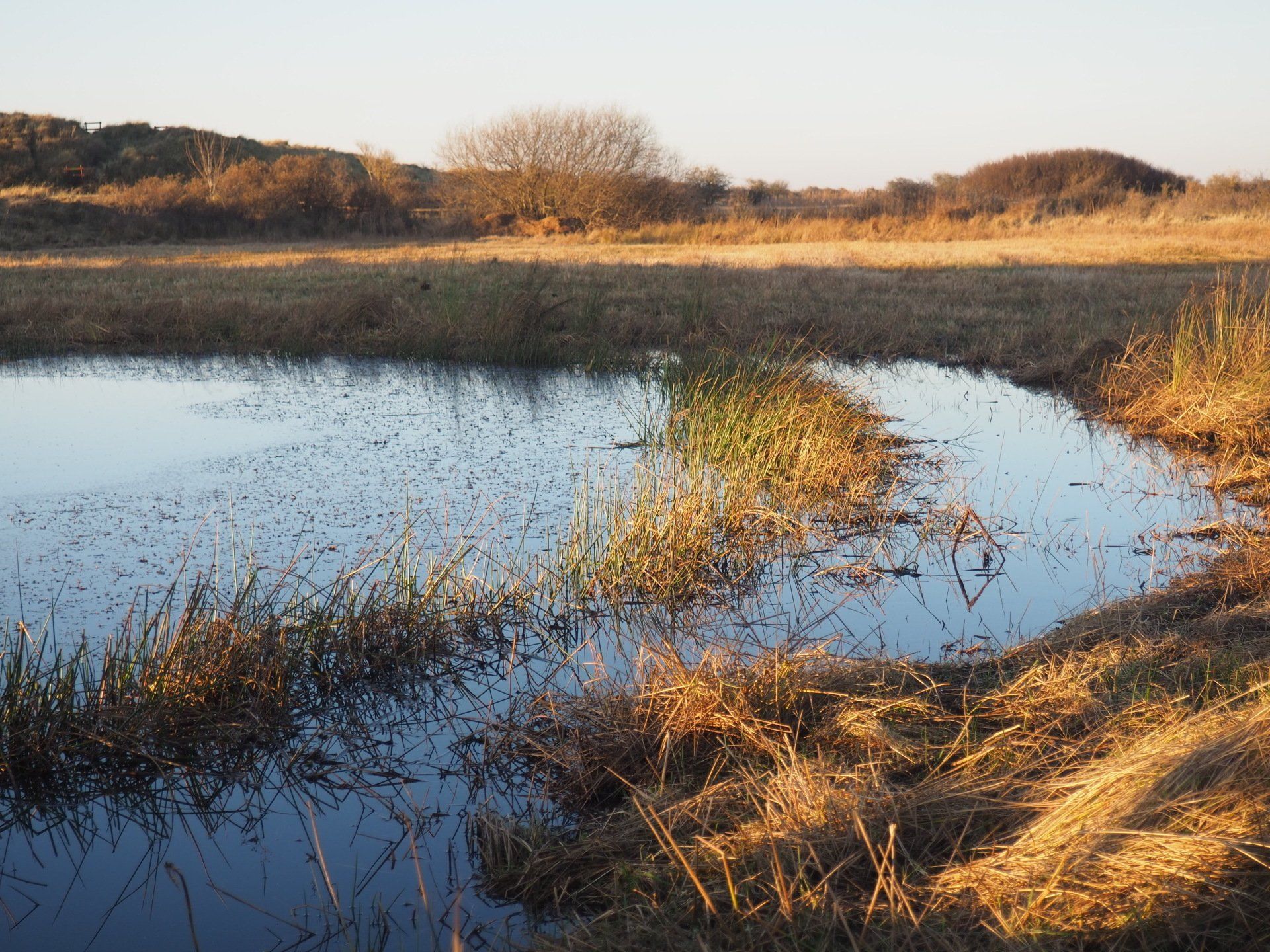 photos from the rimac nature reserve on the lincolnshire coast