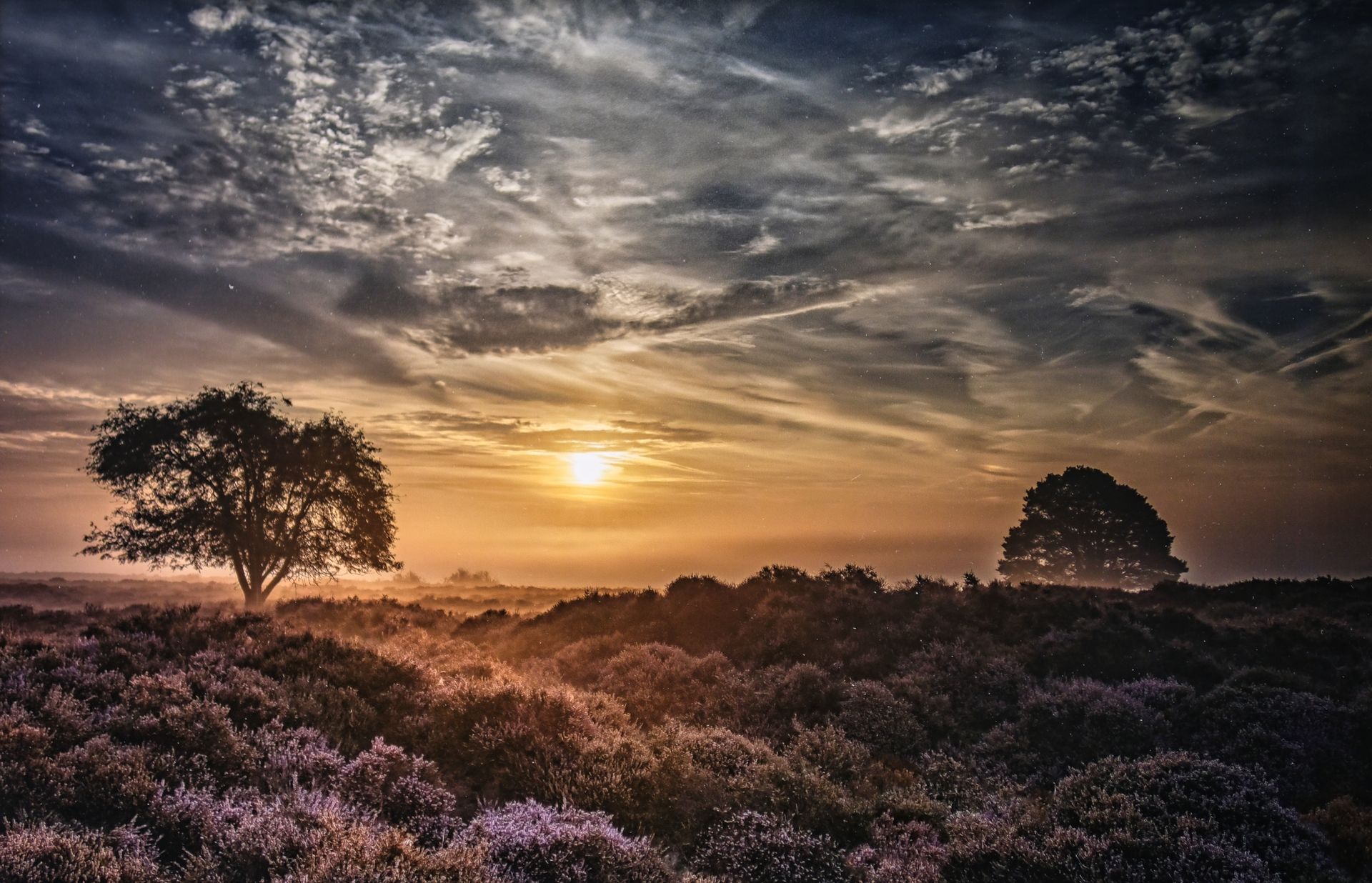 Roydon Common Morning by Dave Turner Roydon Common at dawn with the sunrise