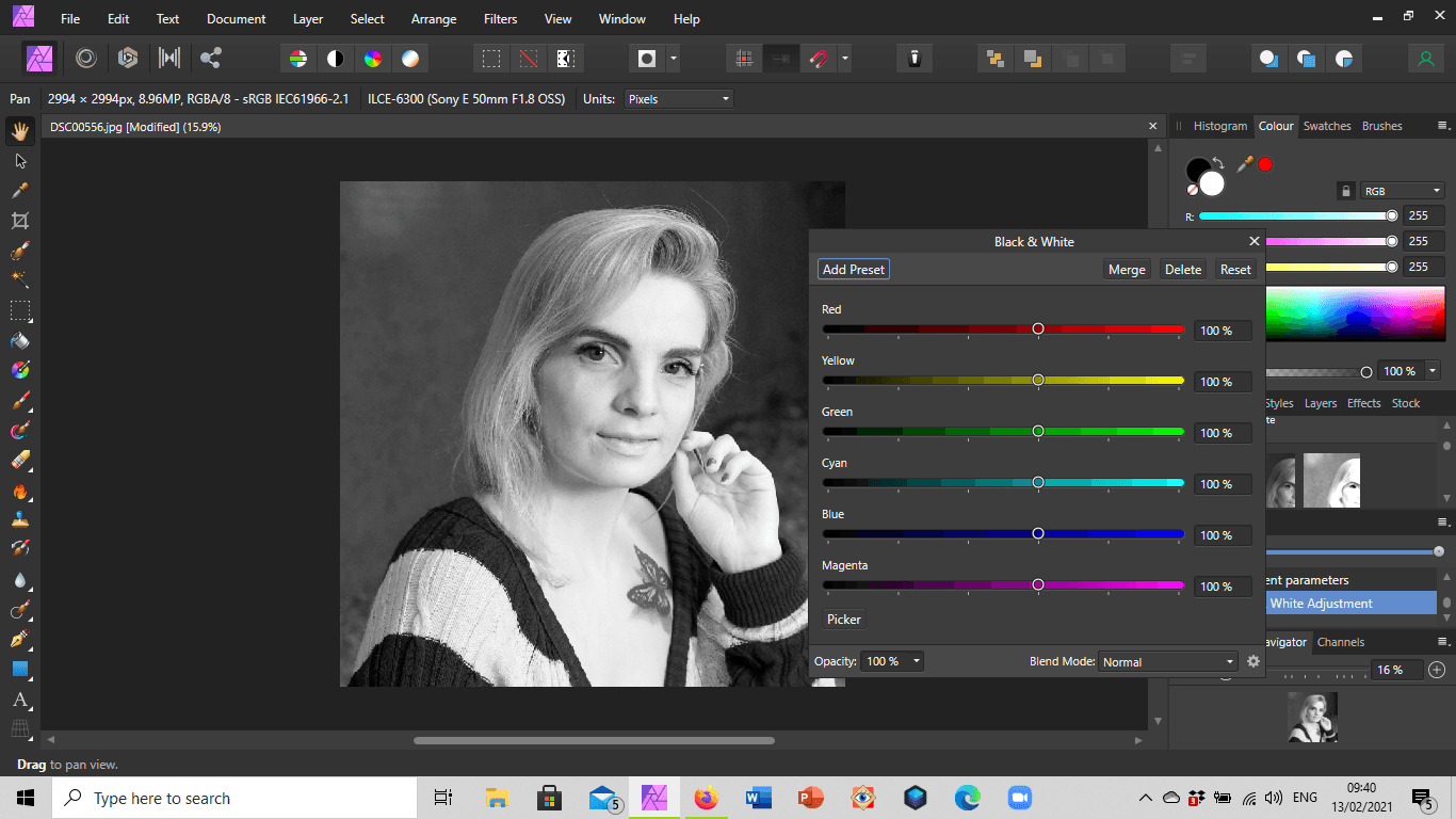 monochrome conversion of a portrait photo